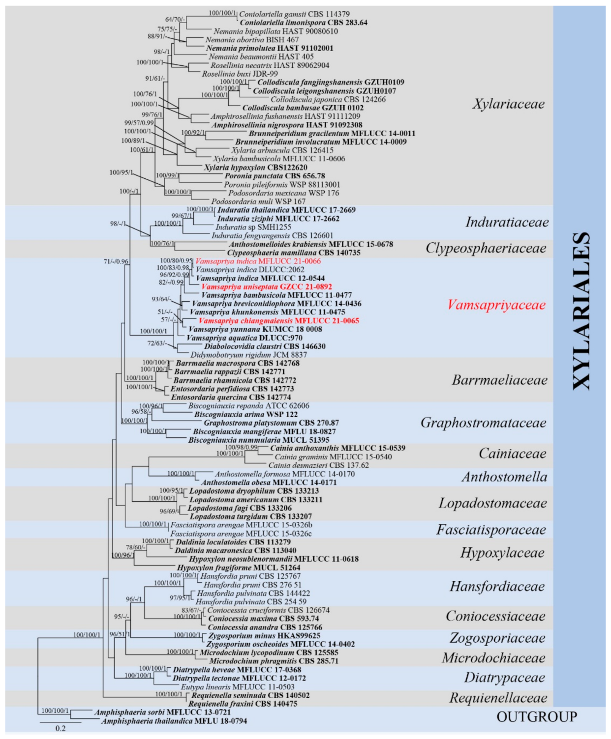 Jof 07 00891 g001 Jof 07 00891 g001
