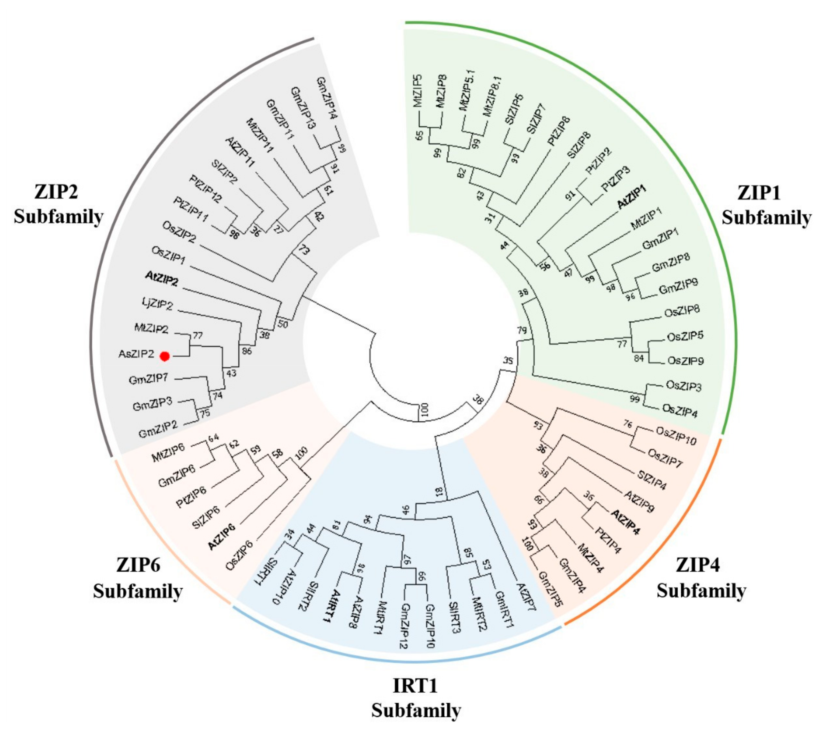 Jof 07 00892 g002 550