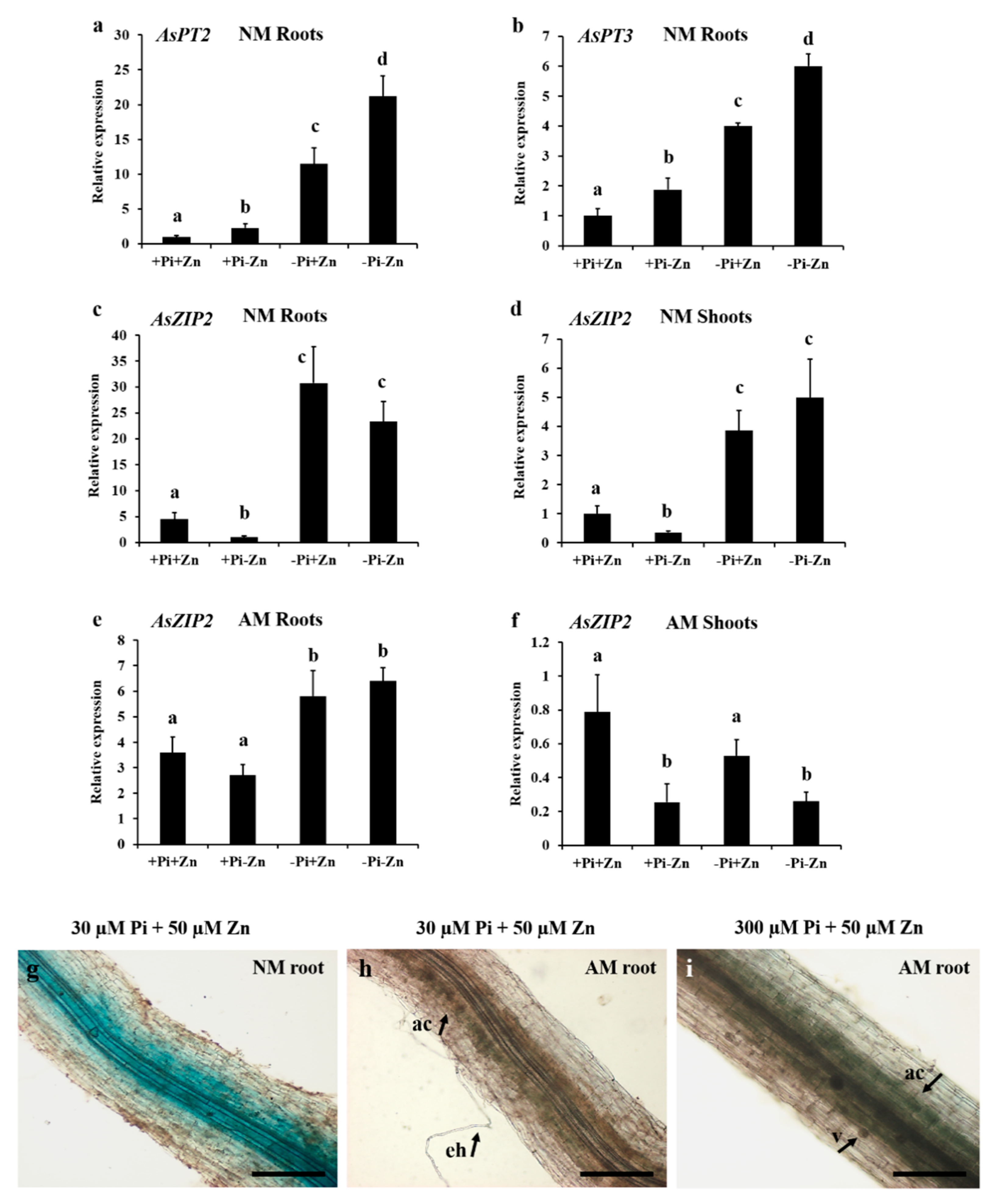 Jof 07 00892 g004 550