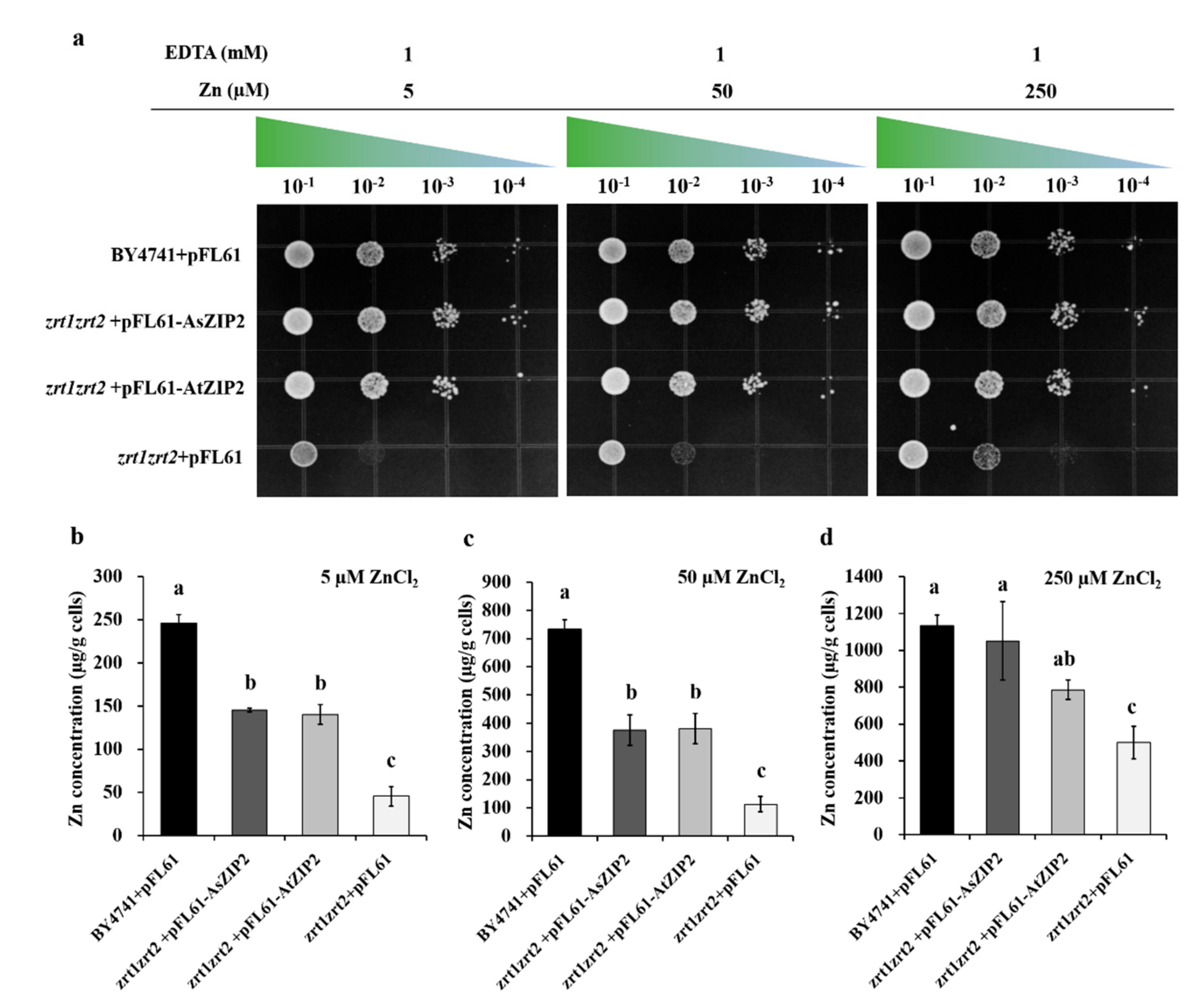 Jof 07 00892 g006 550