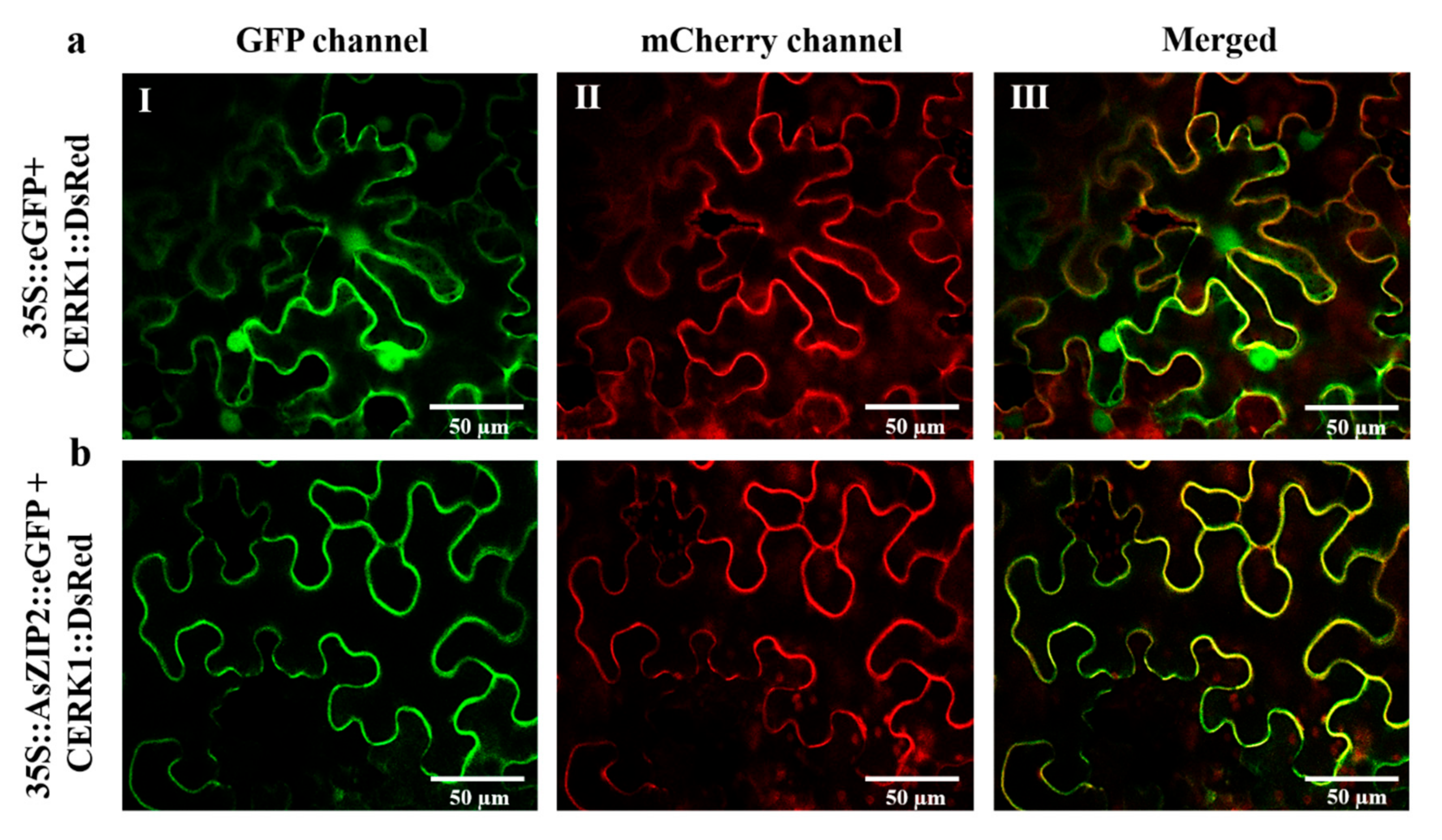 Jof 07 00892 g007 550