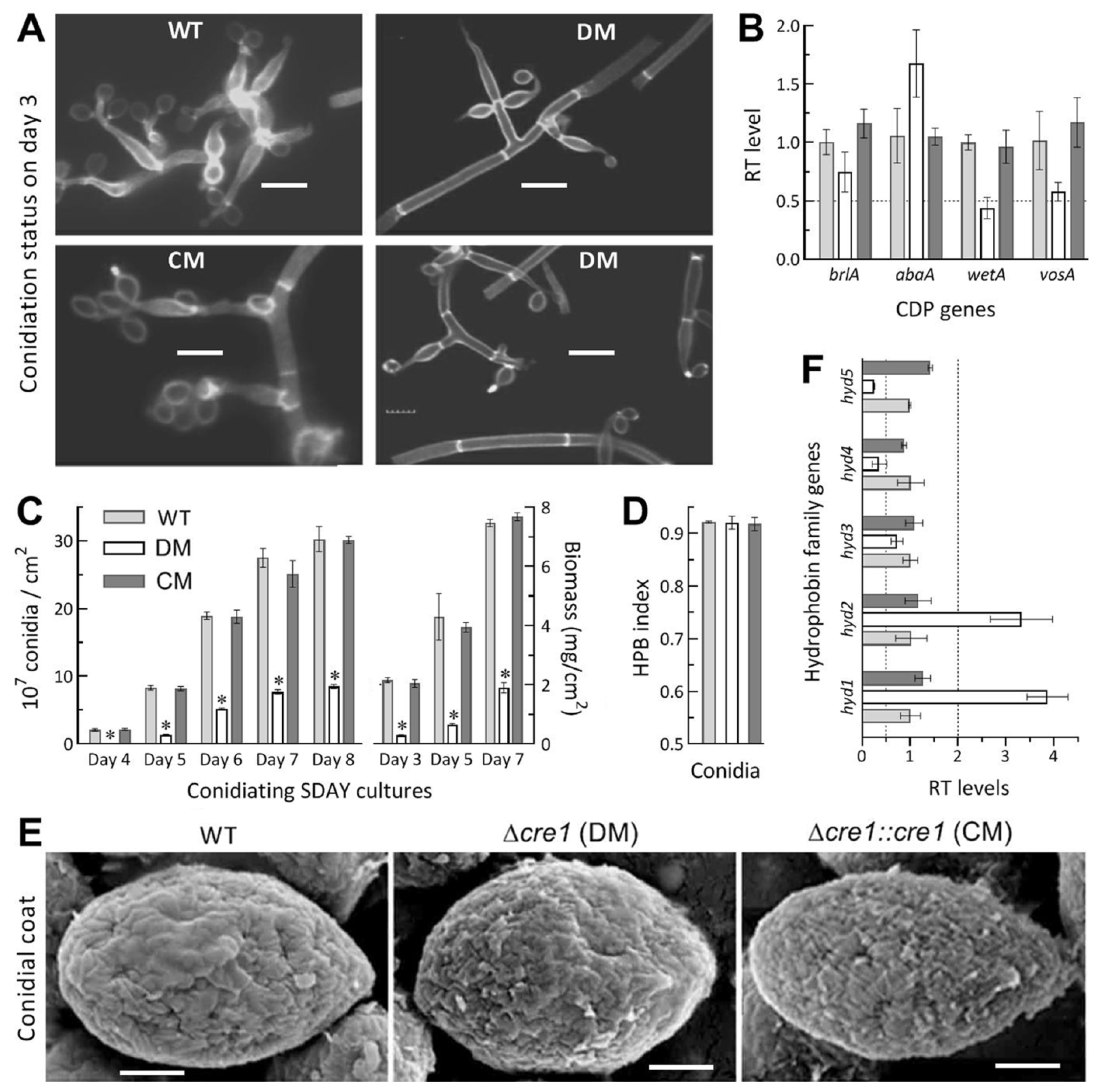 Jof 07 00895 g004 550