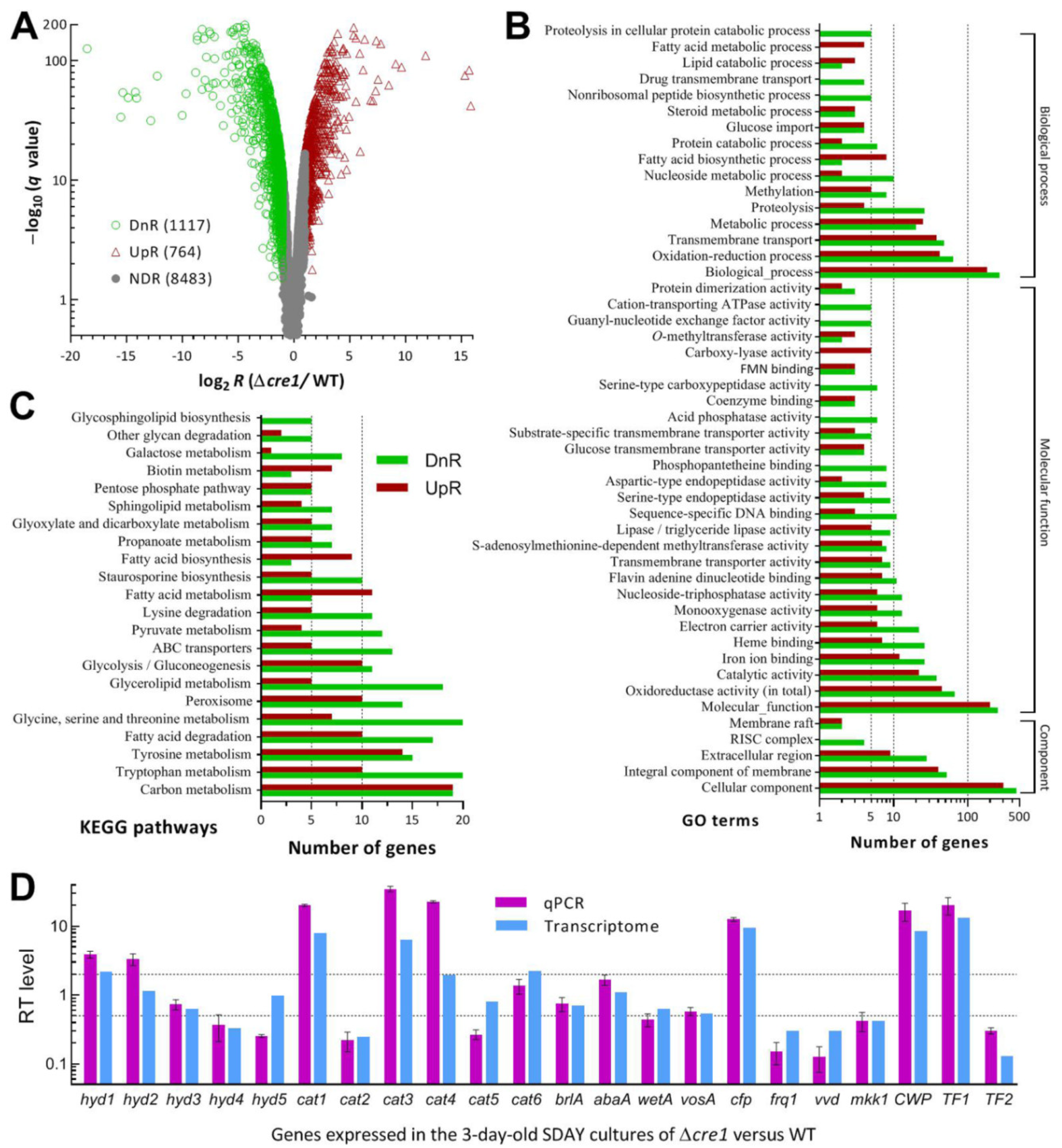 Jof 07 00895 g005 550