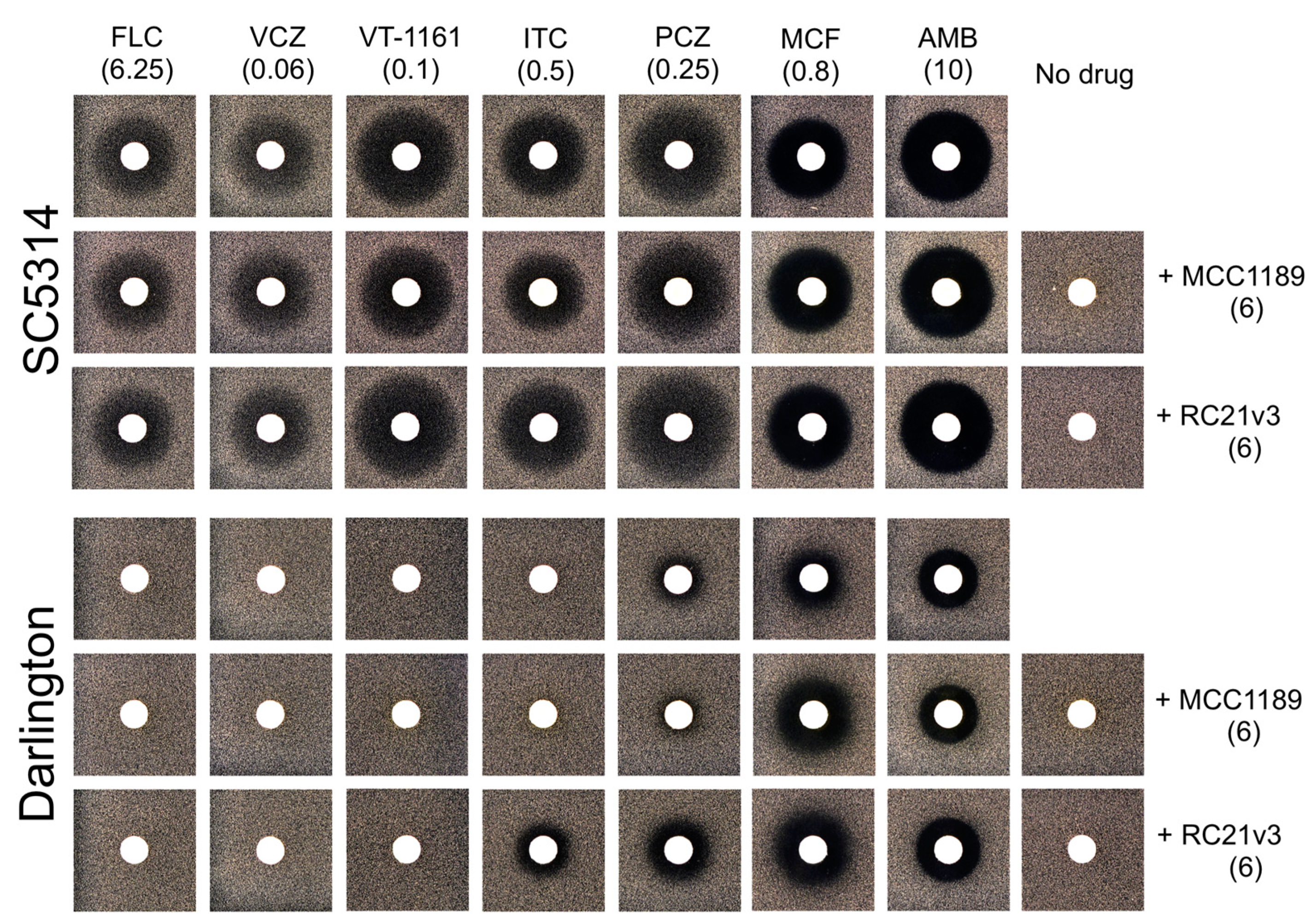 Jof 07 00897 g003 550