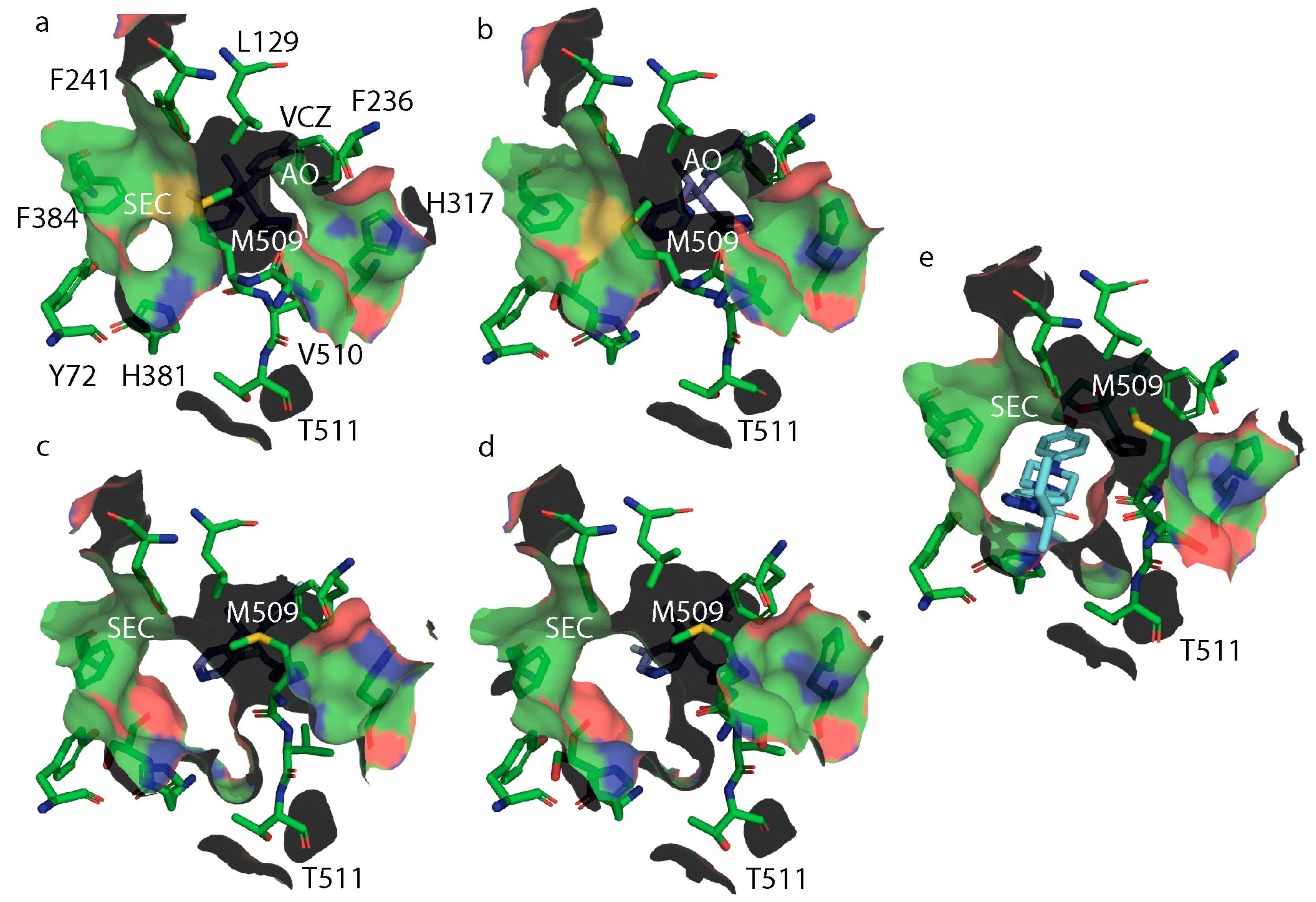 Jof 07 00897 g007 550