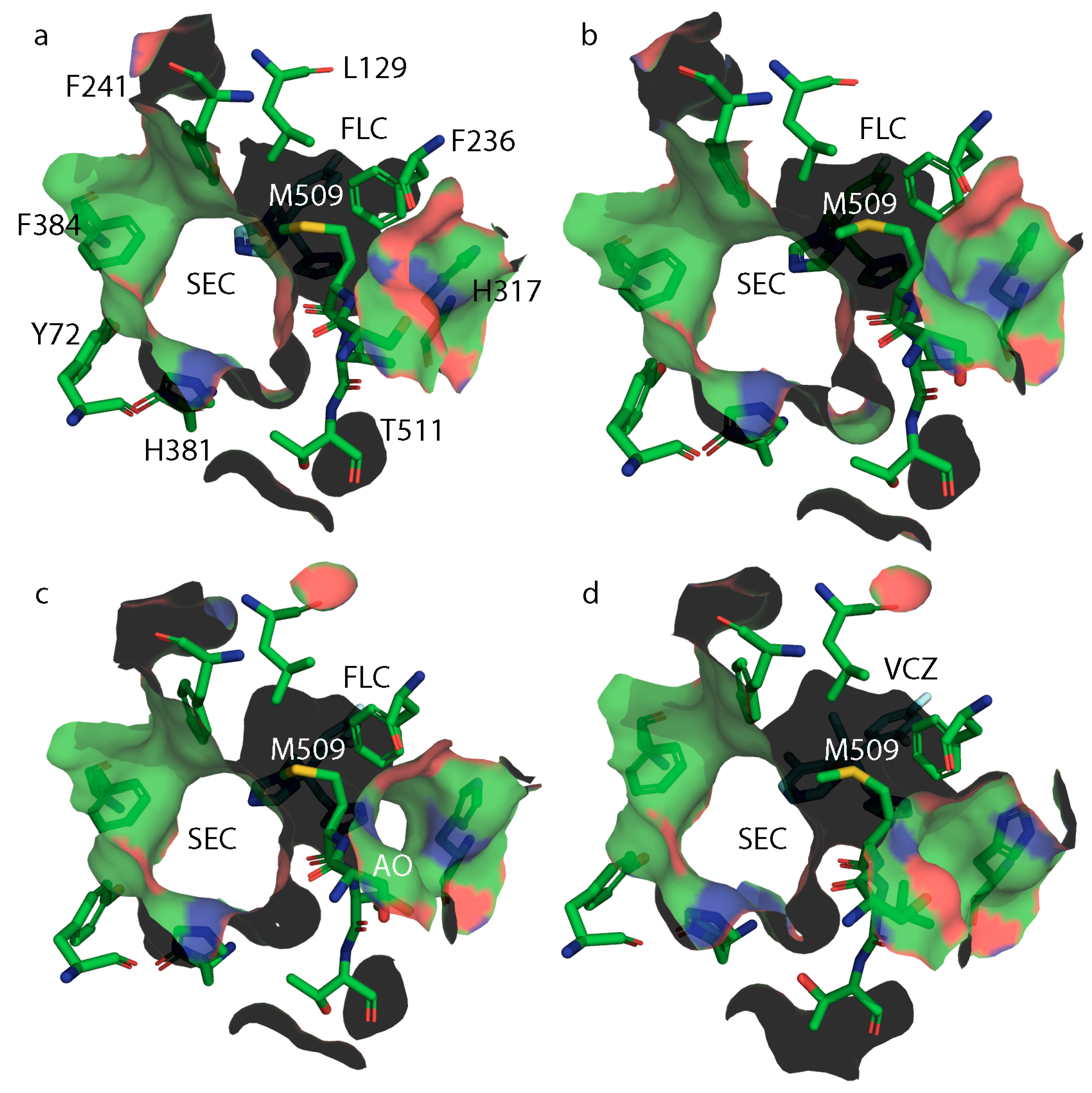 Jof 07 00897 g008 550