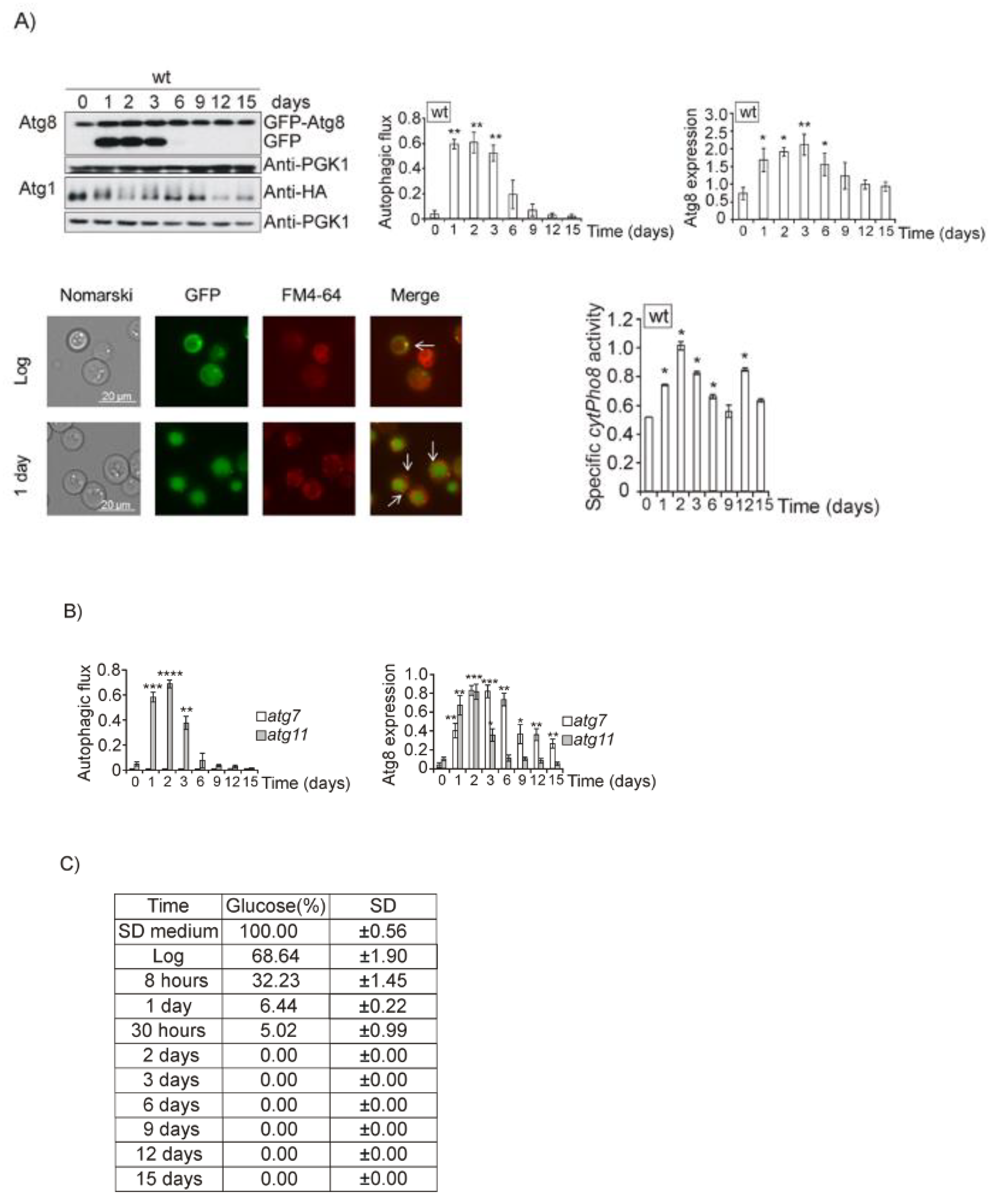 Jof 07 00903 g001a Jof 07 00903 g001a