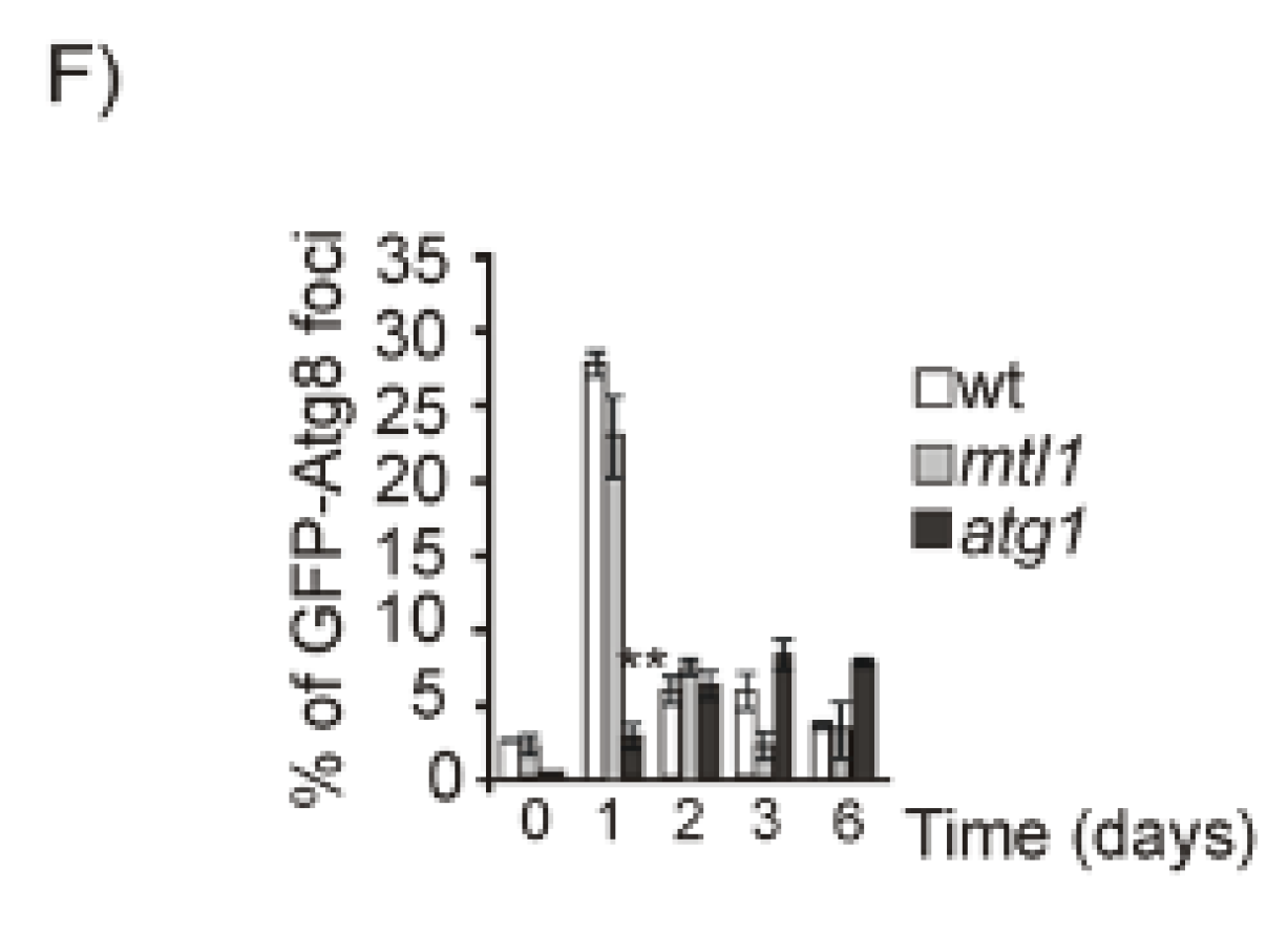 Jof 07 00903 g003b Jof 07 00903 g003b