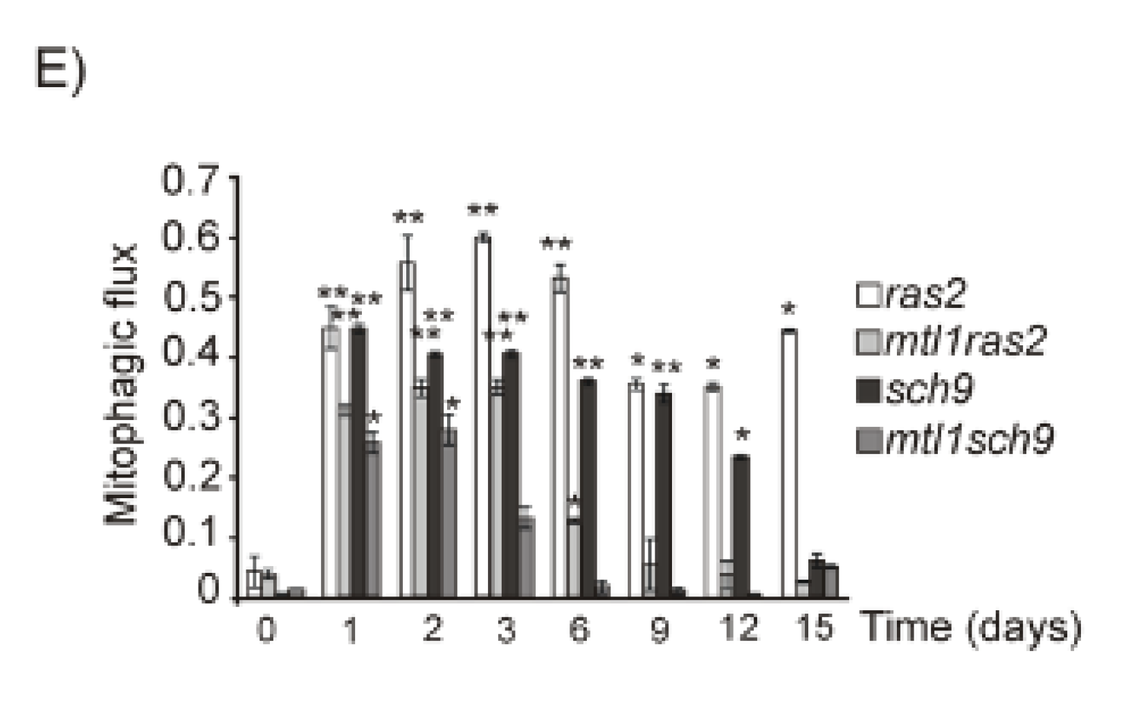 Jof 07 00903 g008b Jof 07 00903 g008b