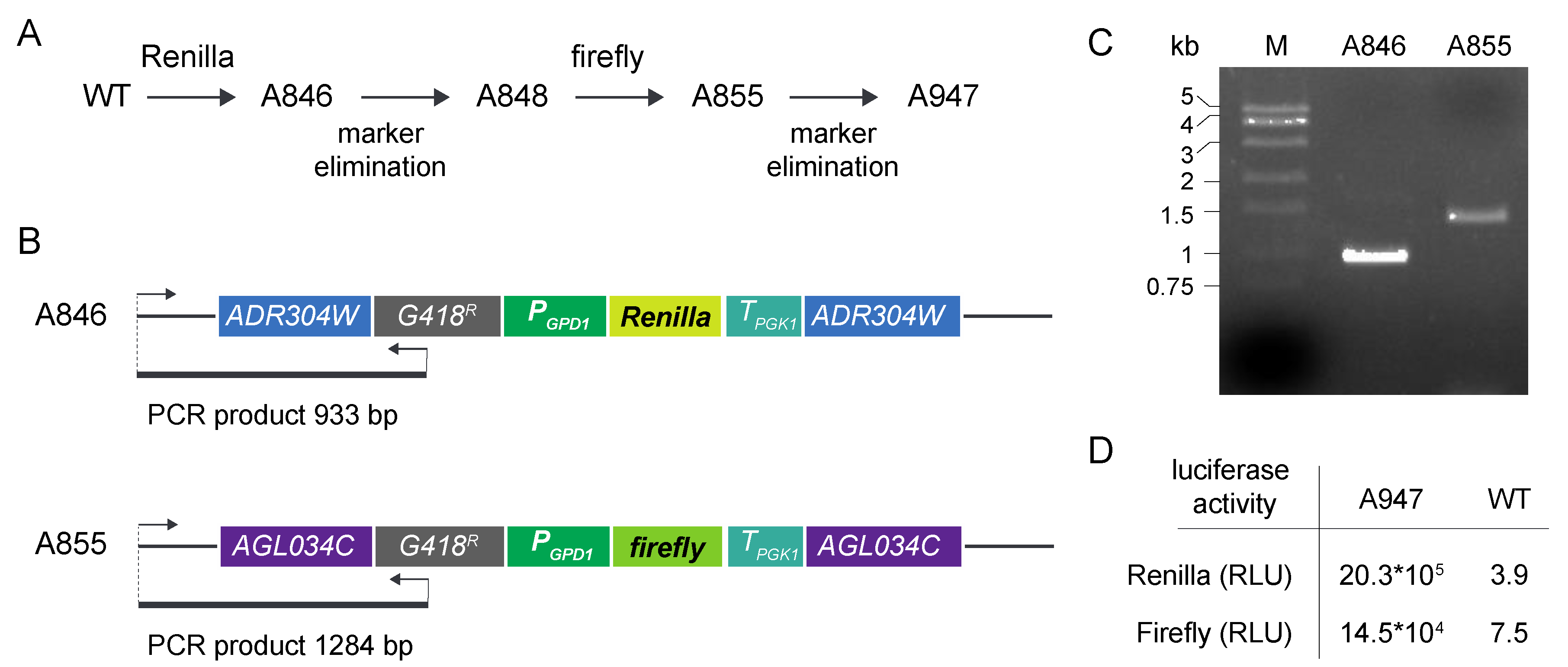 Jof 07 00906 g002 Jof 07 00906 g002