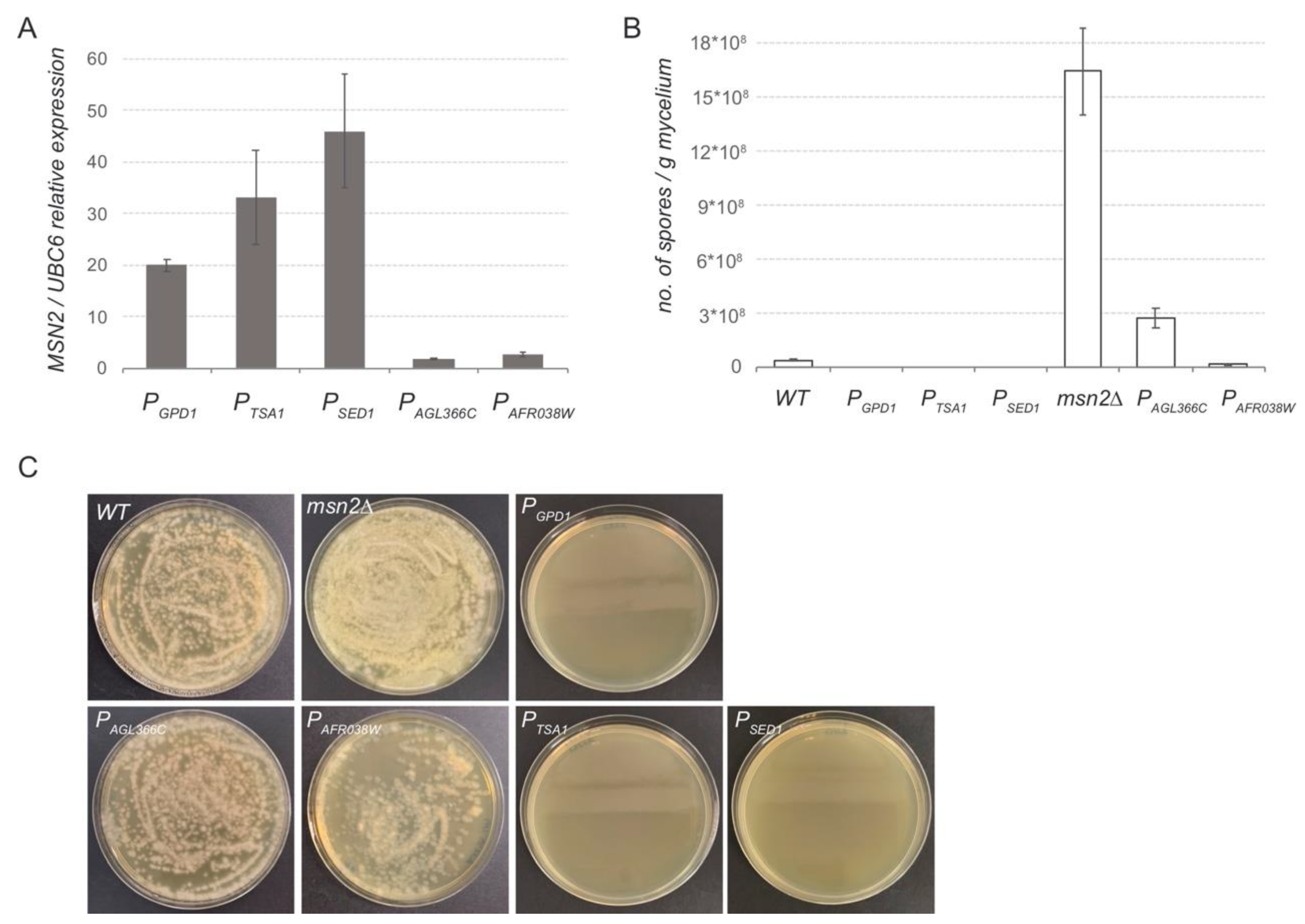 Jof 07 00906 g004 Jof 07 00906 g004