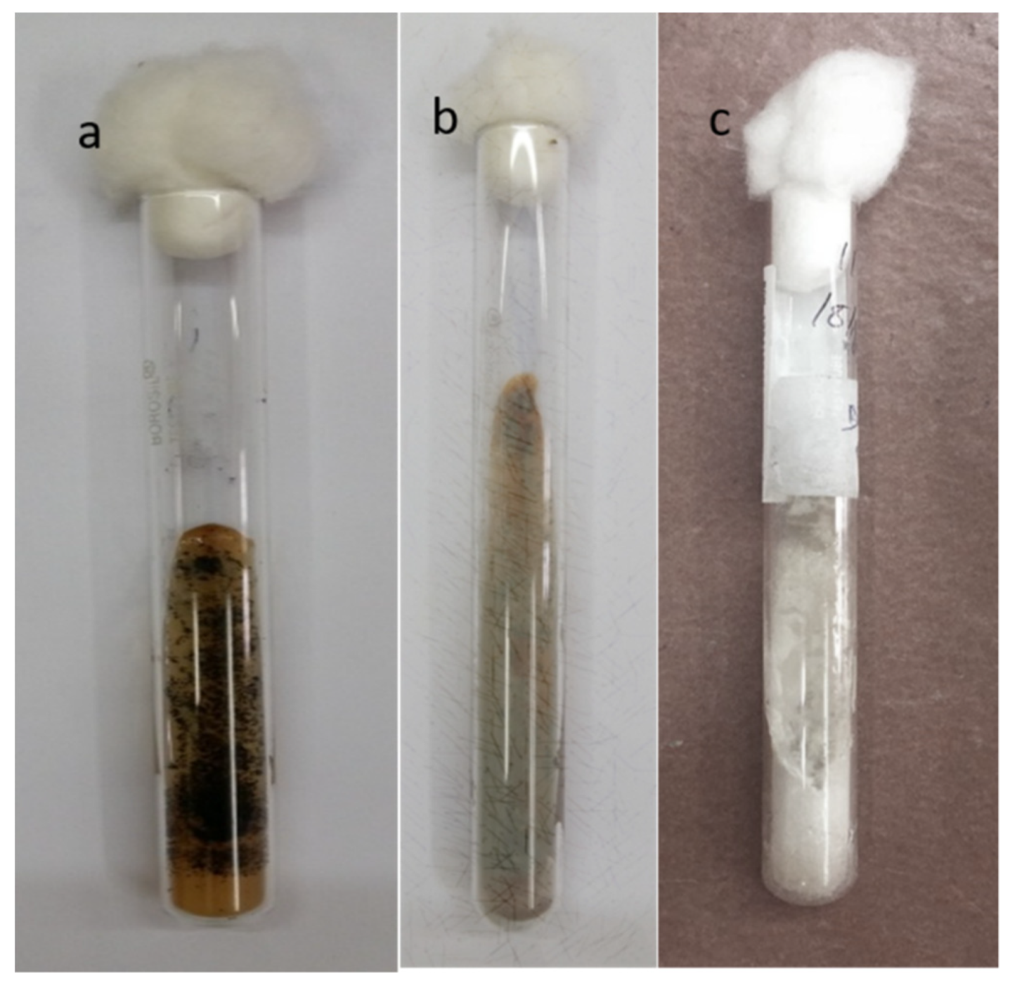 Jof 07 00907 g003 Jof 07 00907 g003