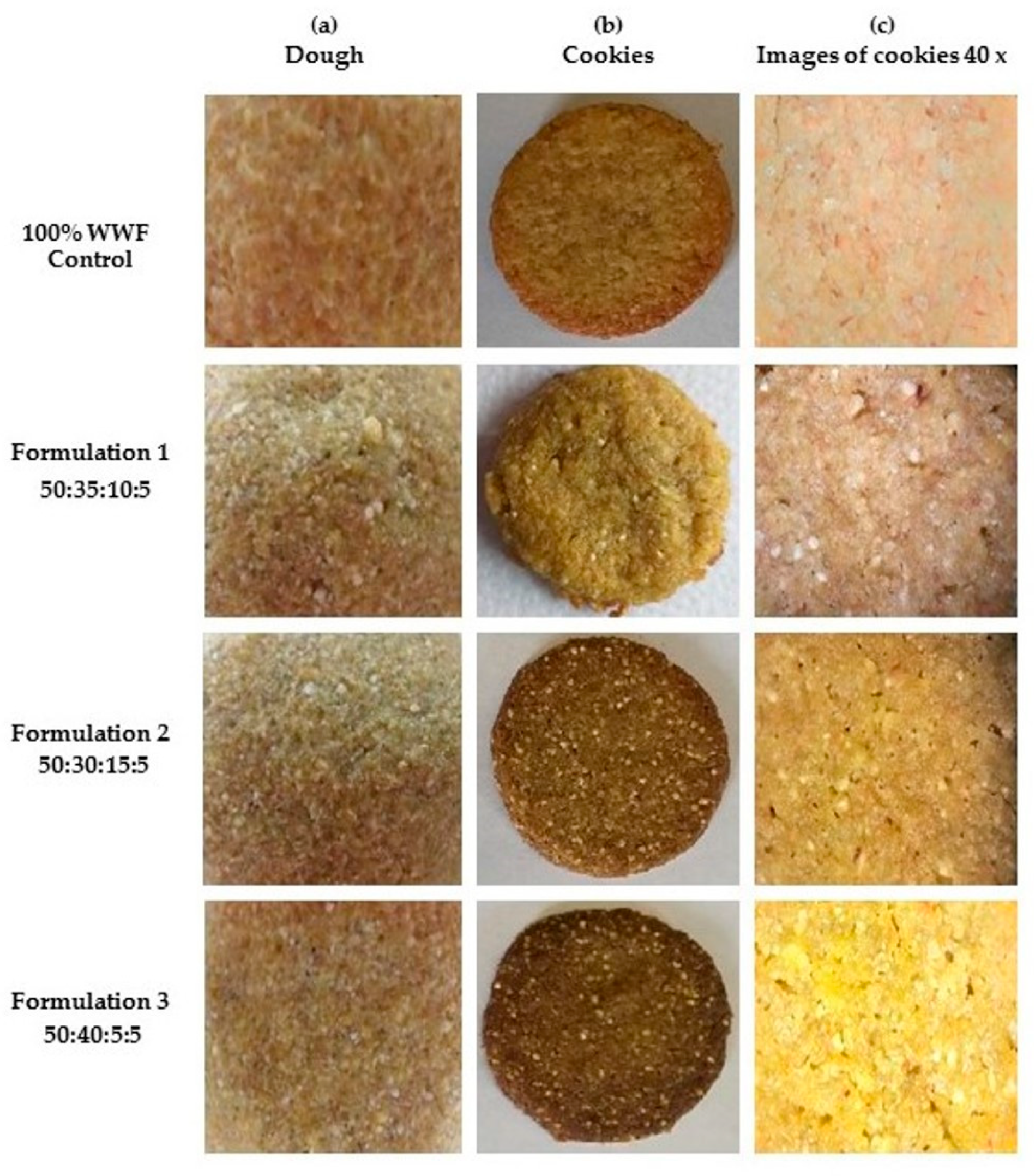 Jof 07 00911 g002 Jof 07 00911 g002