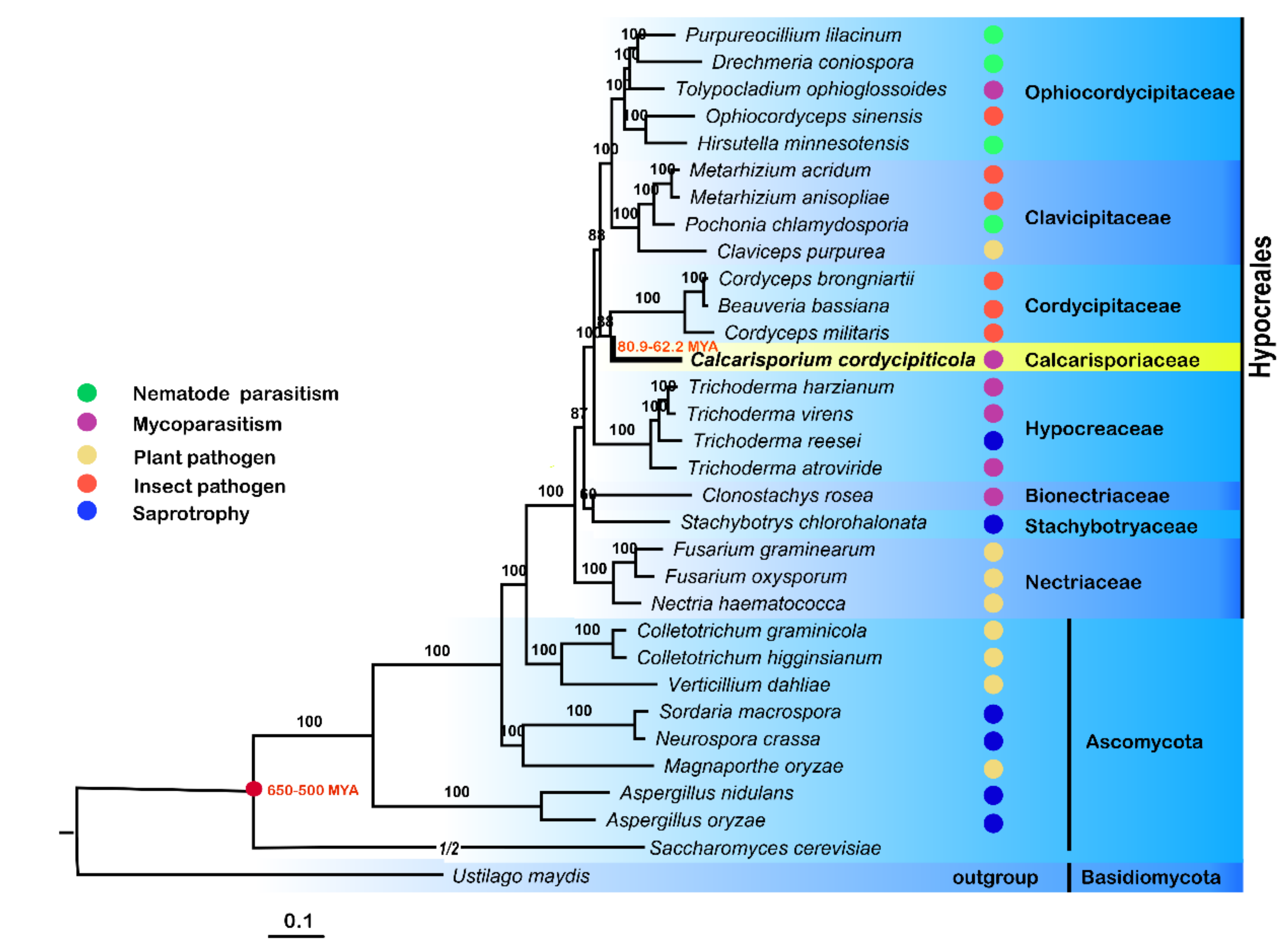 Jof 07 00918 g007 Jof 07 00918 g007