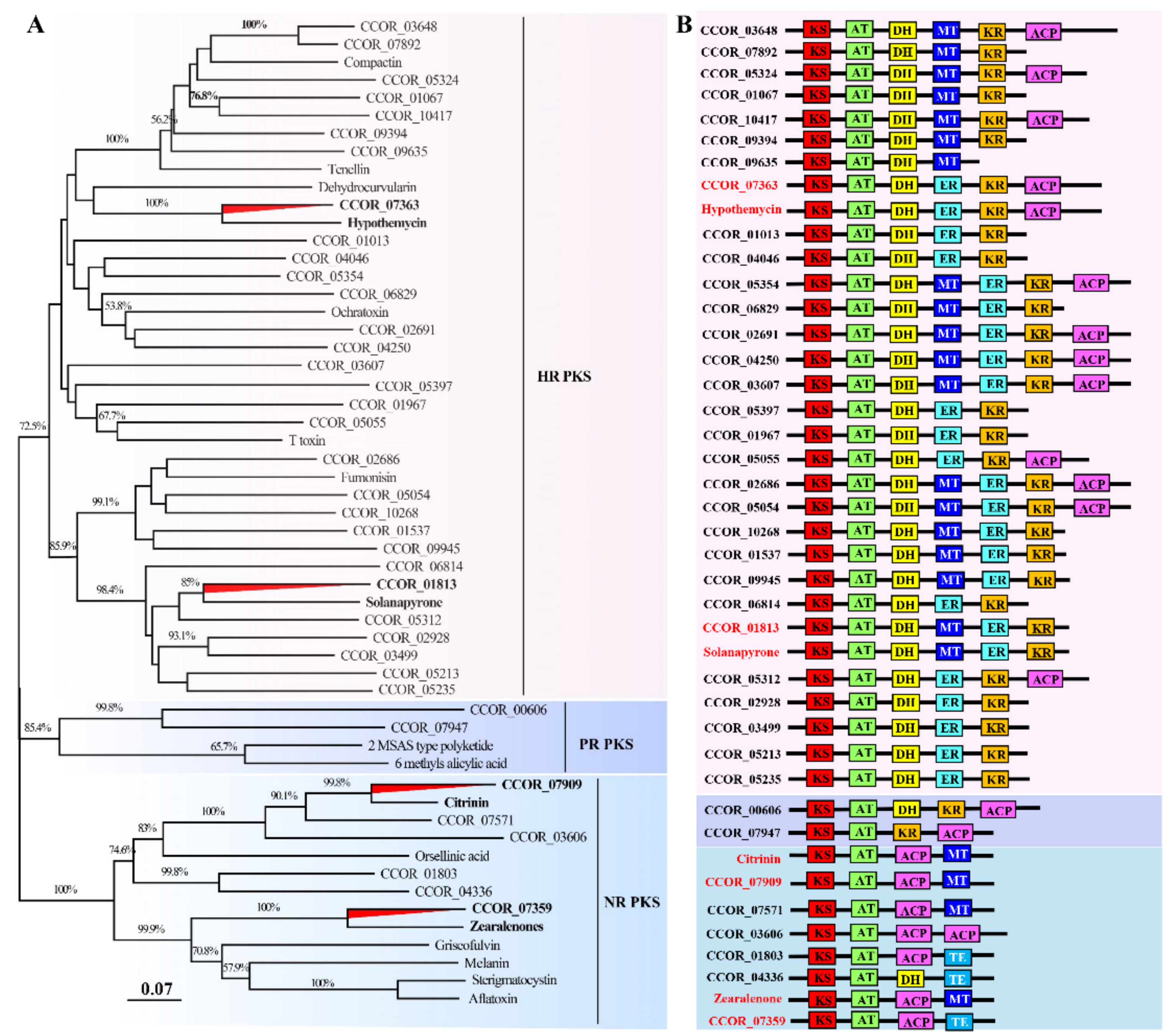 Jof 07 00918 g009 Jof 07 00918 g009