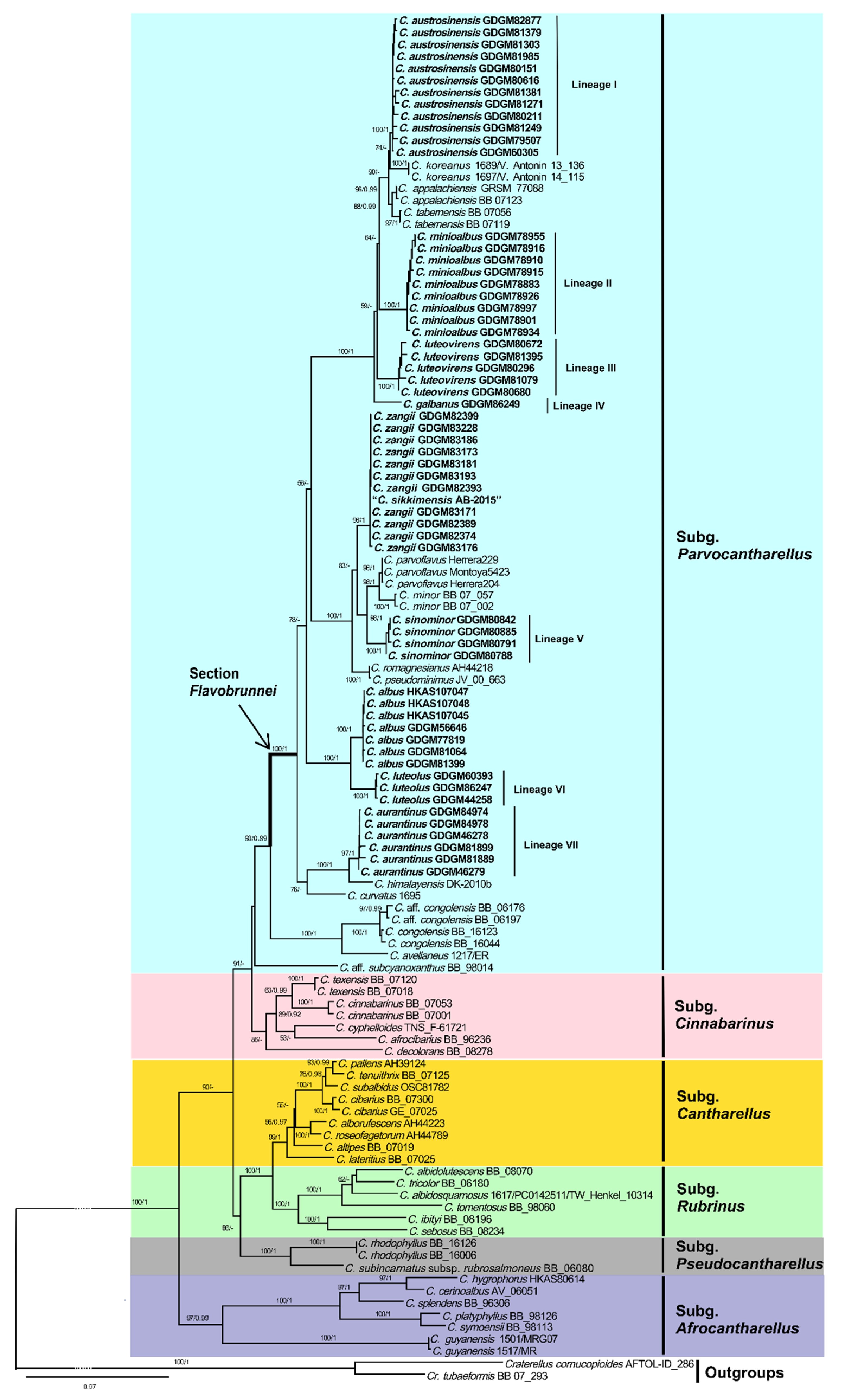 Jof 07 00919 g001 Jof 07 00919 g001