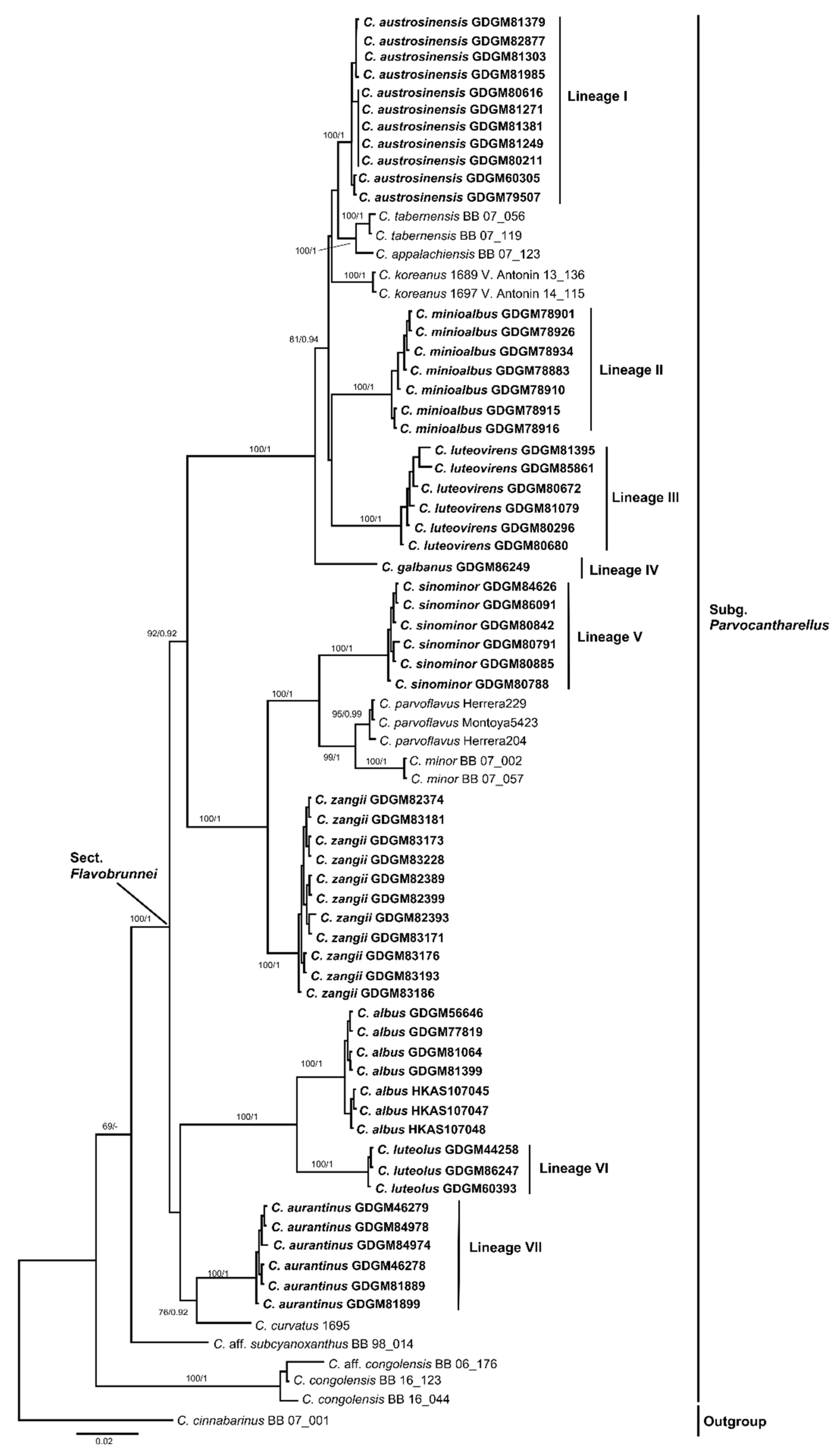 Jof 07 00919 g002 Jof 07 00919 g002
