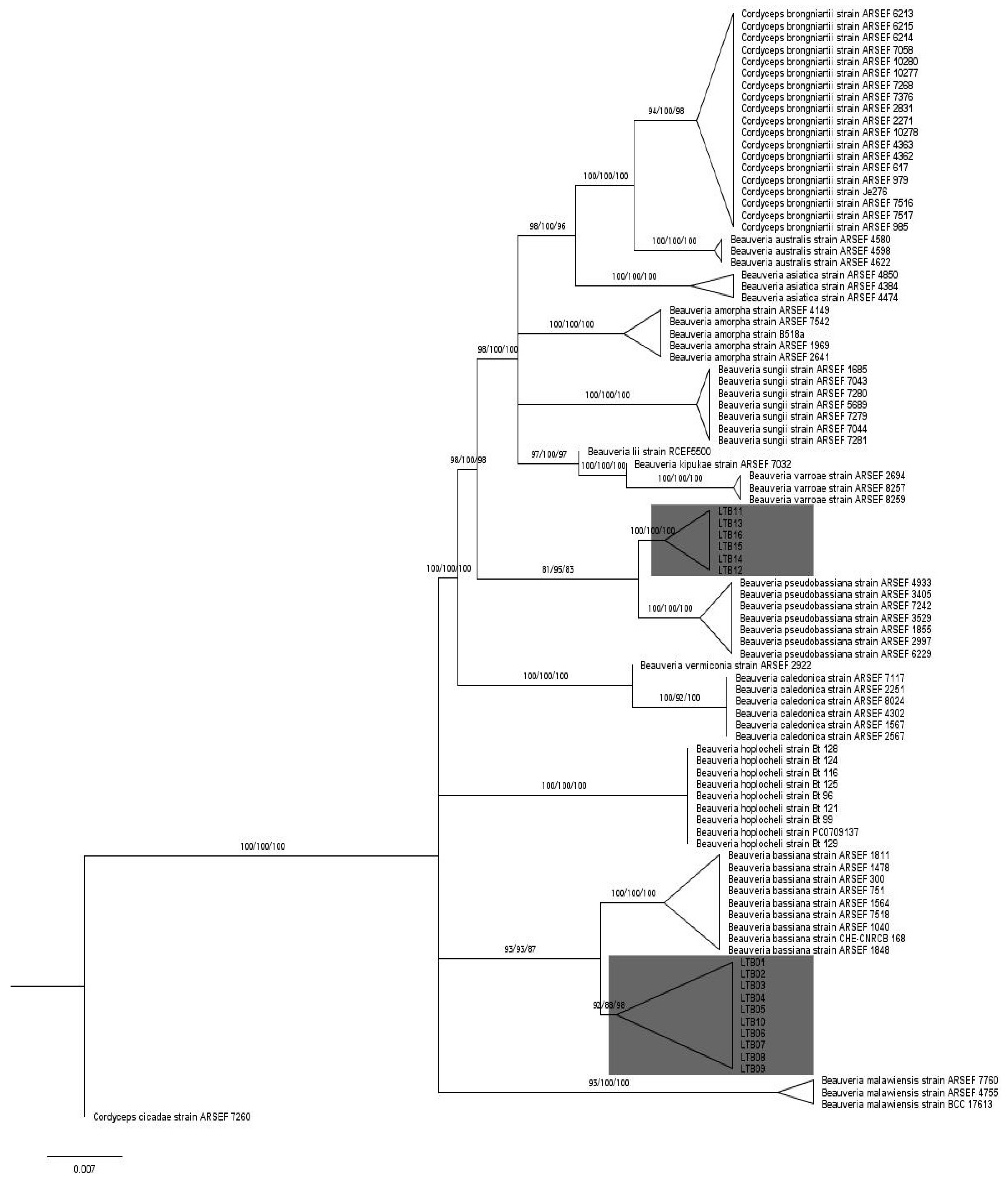 Jof 07 00924 g002 550