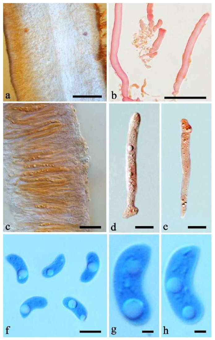 Jof 07 00933 g007 550
