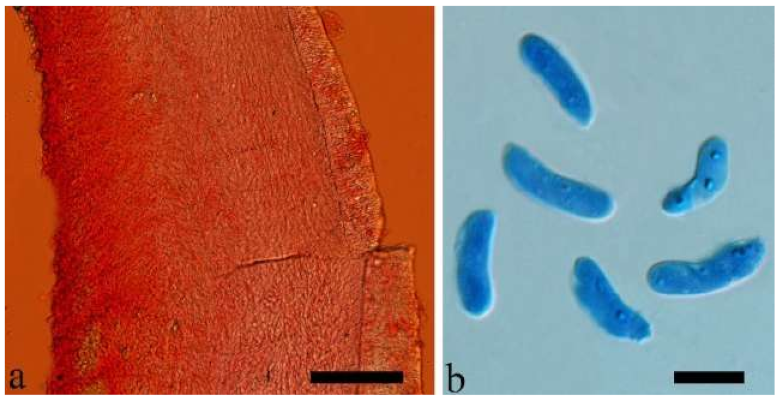 Jof 07 00933 g032 550