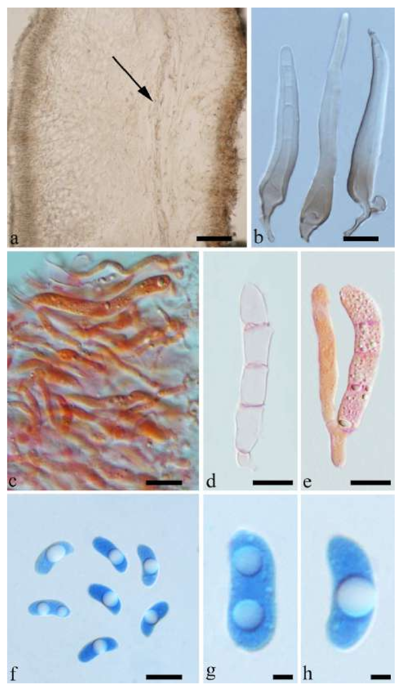 Jof 07 00933 g040 550