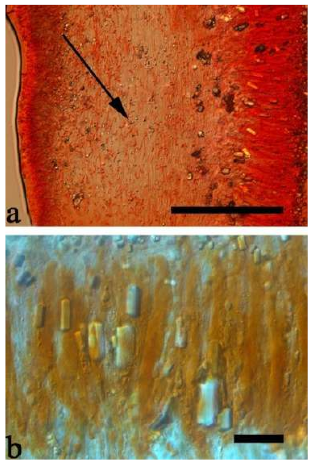 Jof 07 00933 g044 550