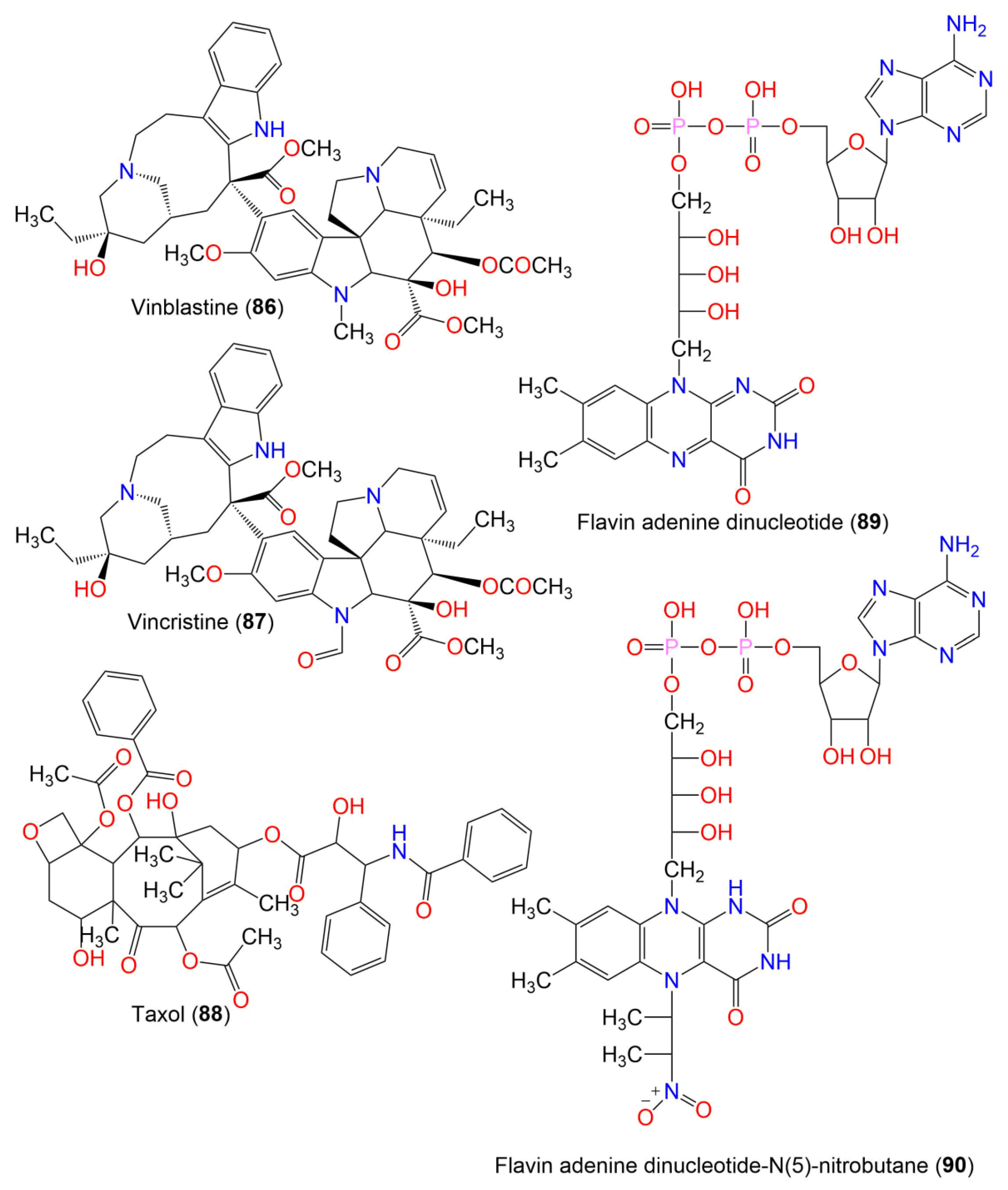 Jof 07 00943 g008 Jof 07 00943 g008
