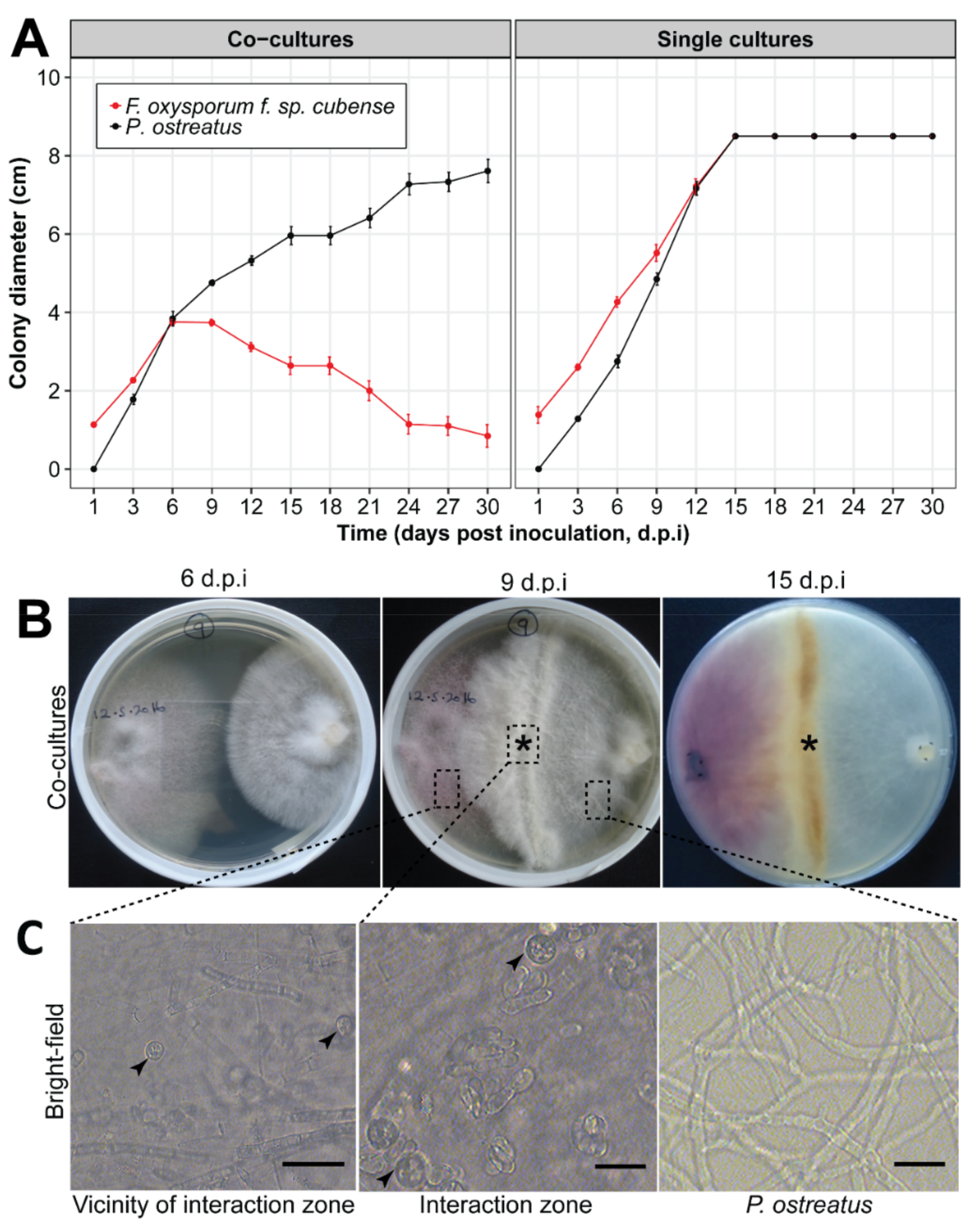 Jof 07 00946 g001 550