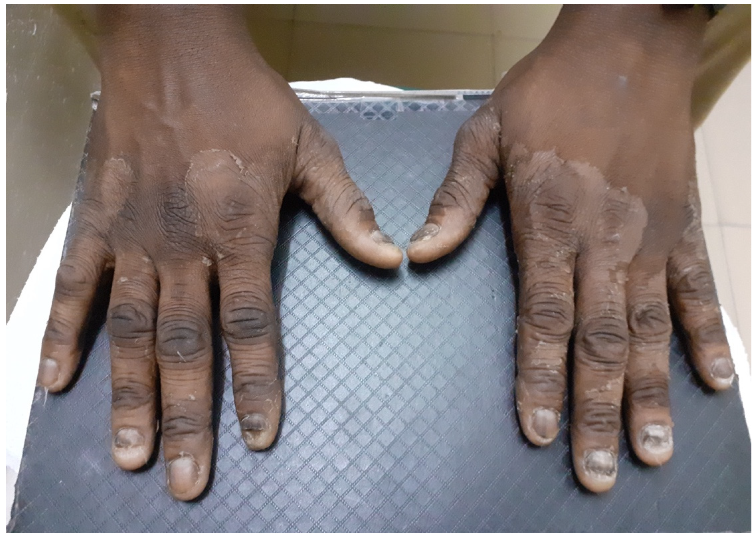 Jof 07 00949 g001 550