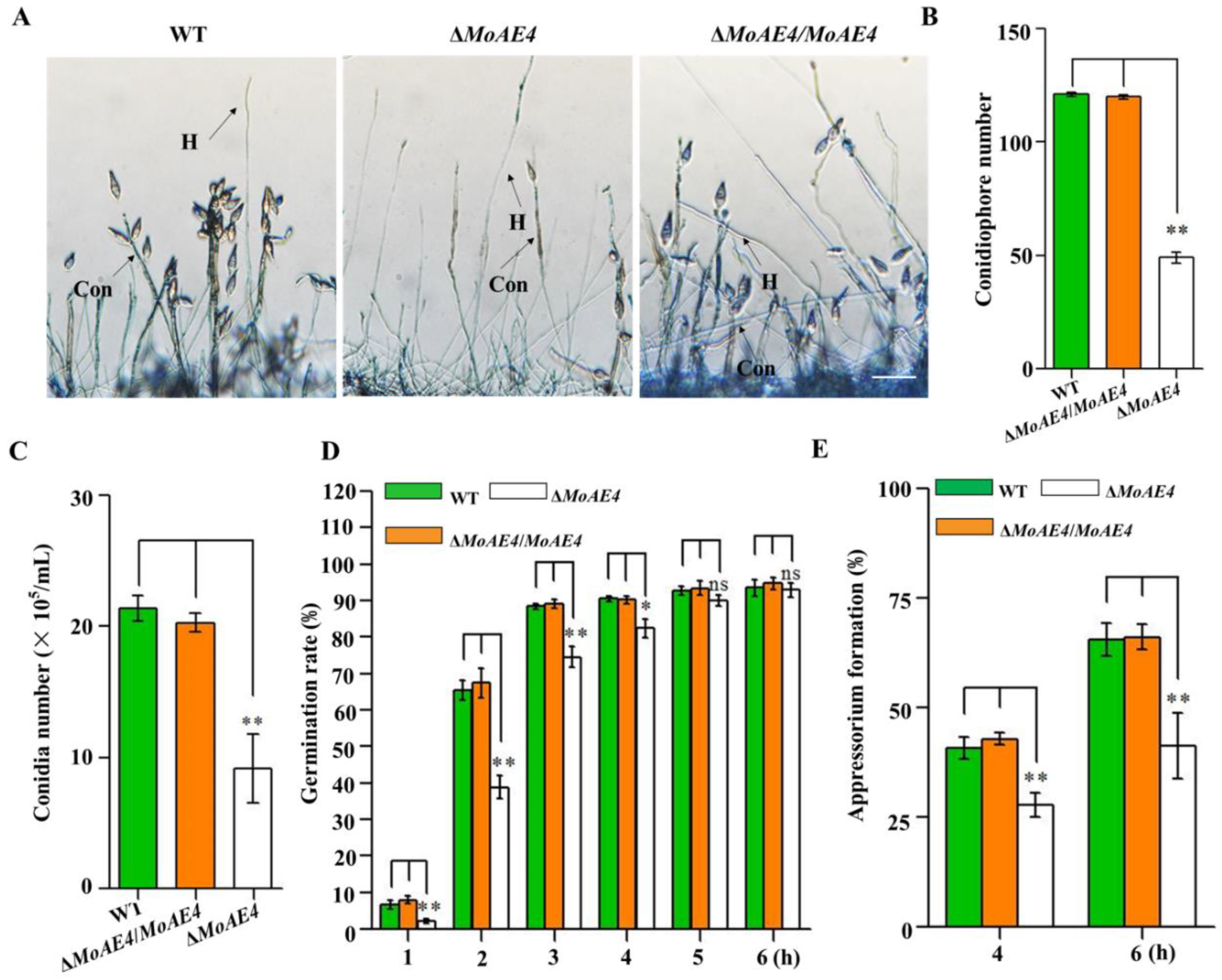 Jof 07 00955 g005 Jof 07 00955 g005