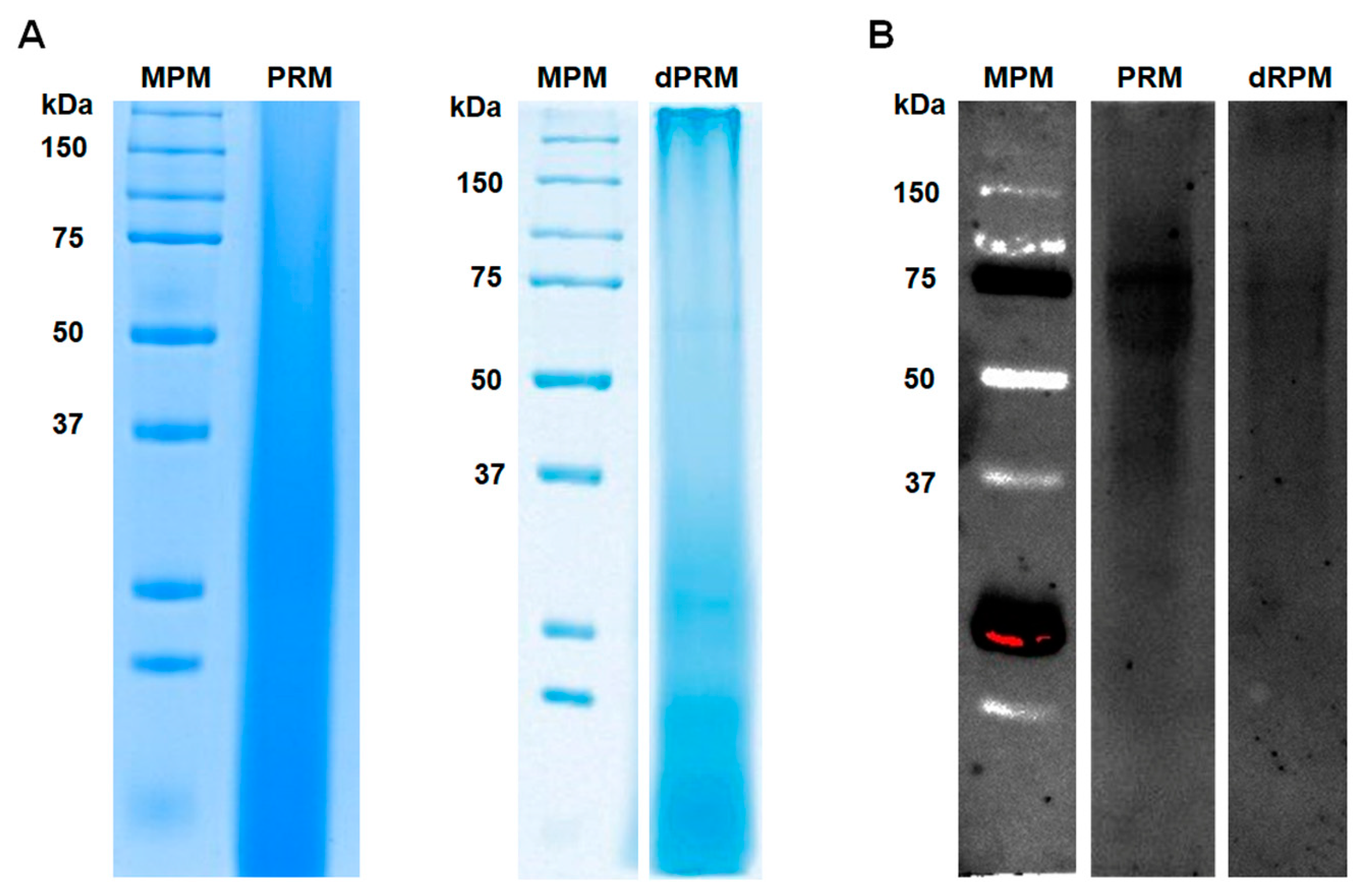 Jof 07 00960 g001 Jof 07 00960 g001