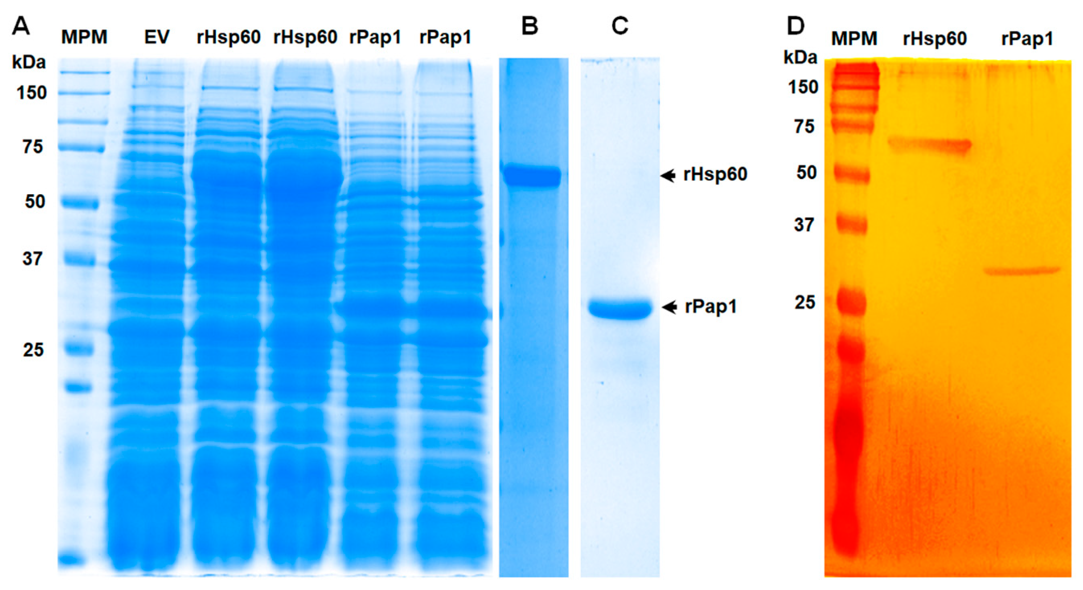 Jof 07 00960 g002 Jof 07 00960 g002