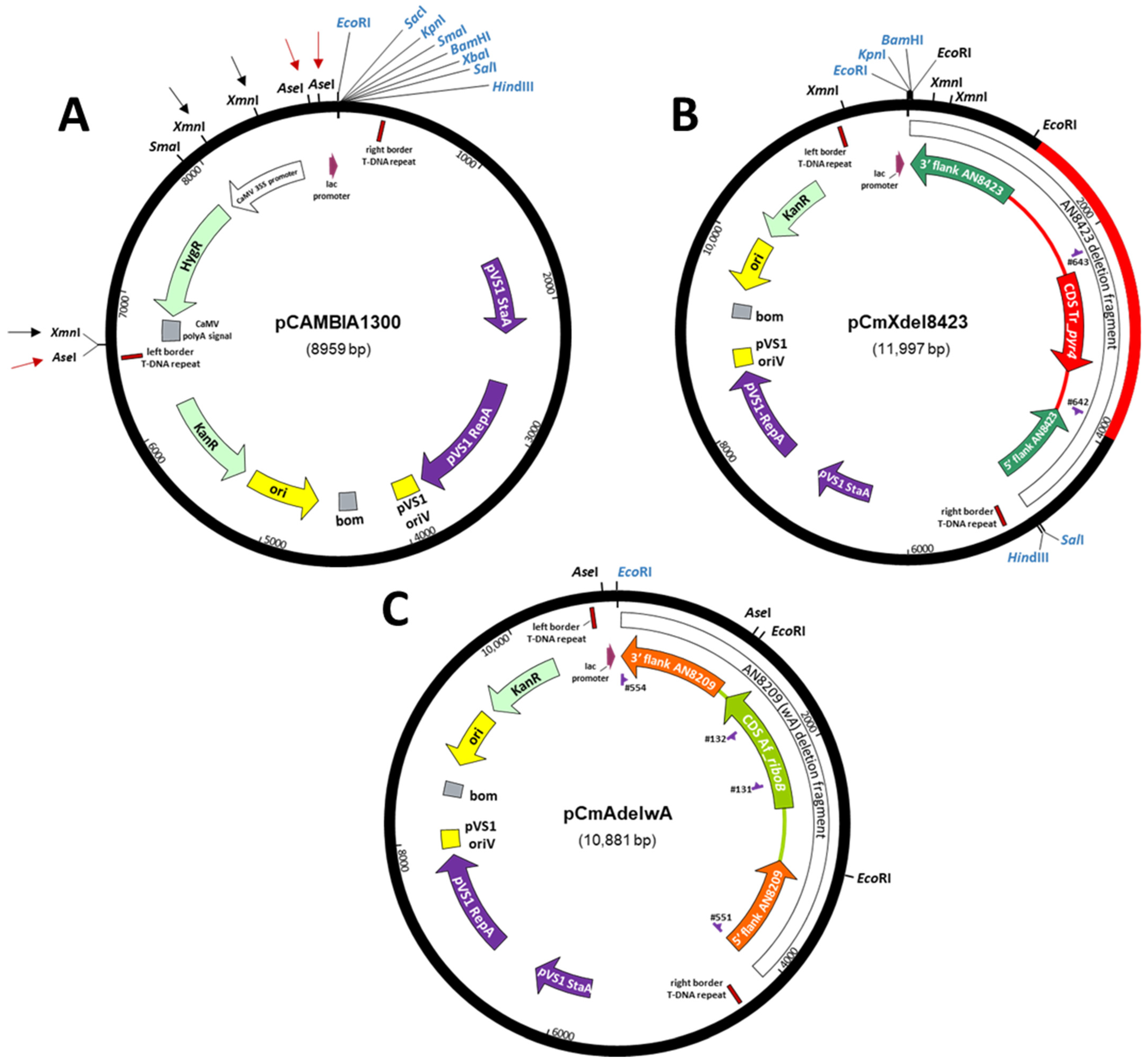Jof 07 00961 g001 Jof 07 00961 g001