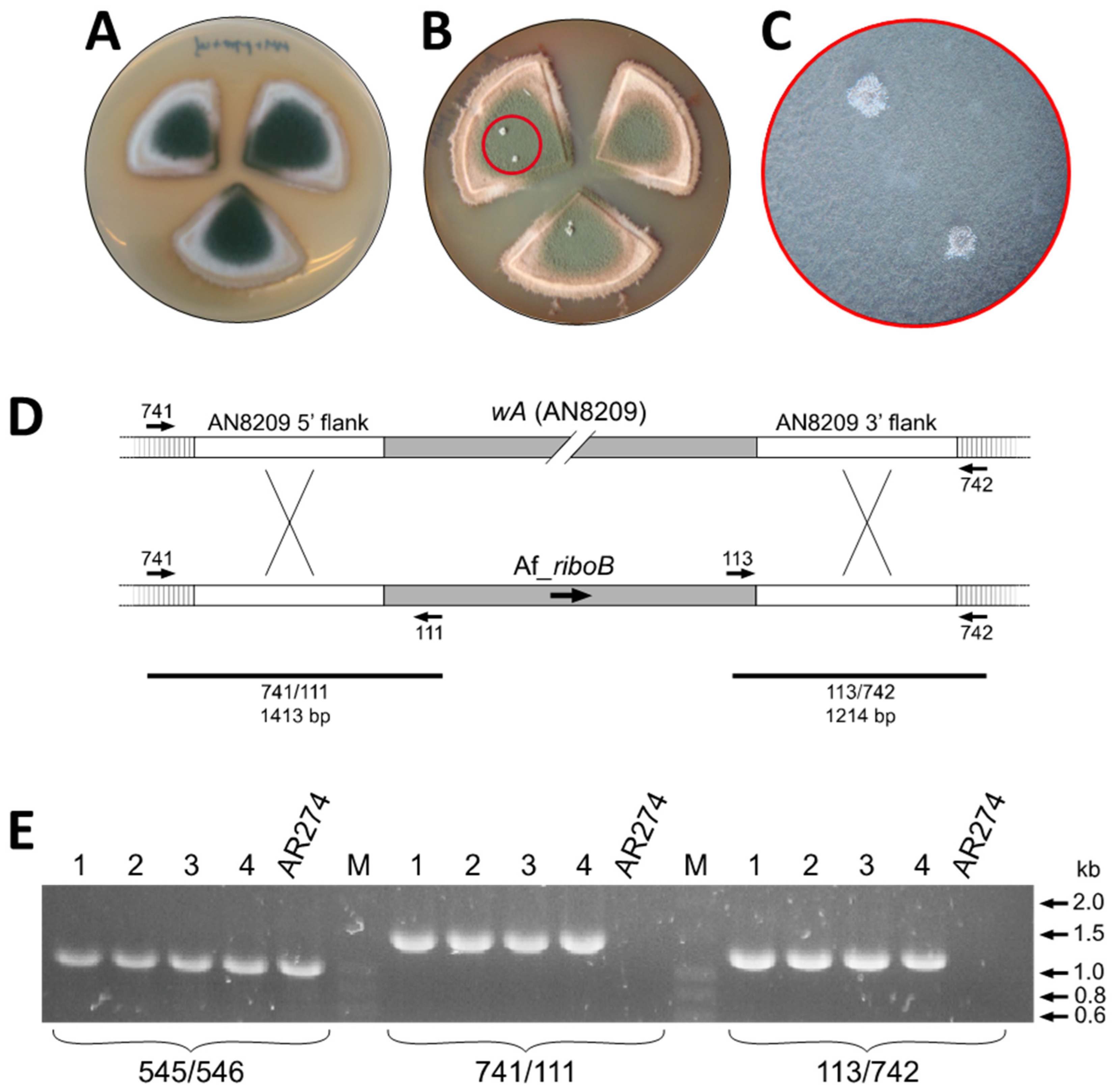 Jof 07 00961 g004 Jof 07 00961 g004