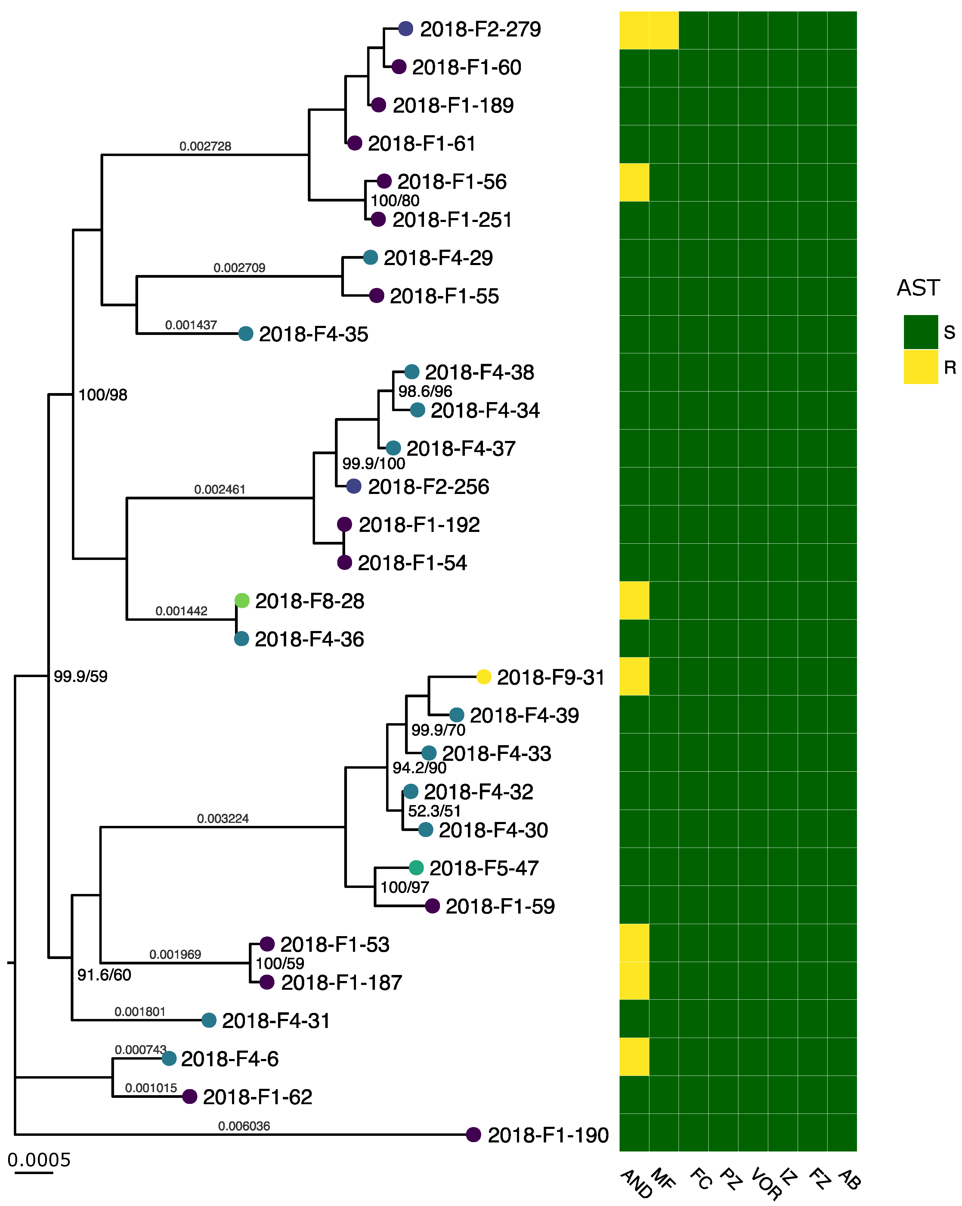 Jof 07 00962 g001 Jof 07 00962 g001