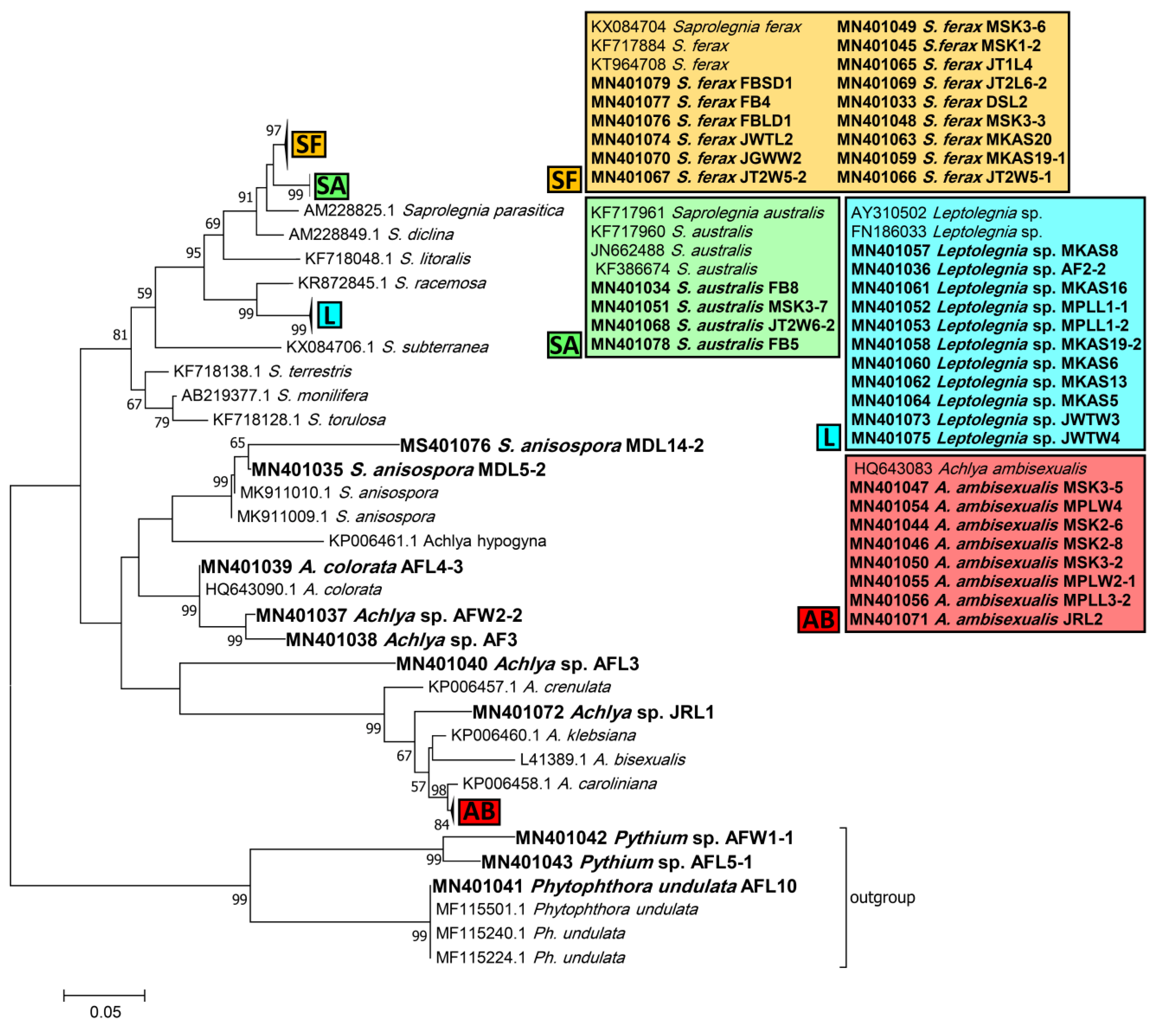 Jof 07 00968 g002 Jof 07 00968 g002