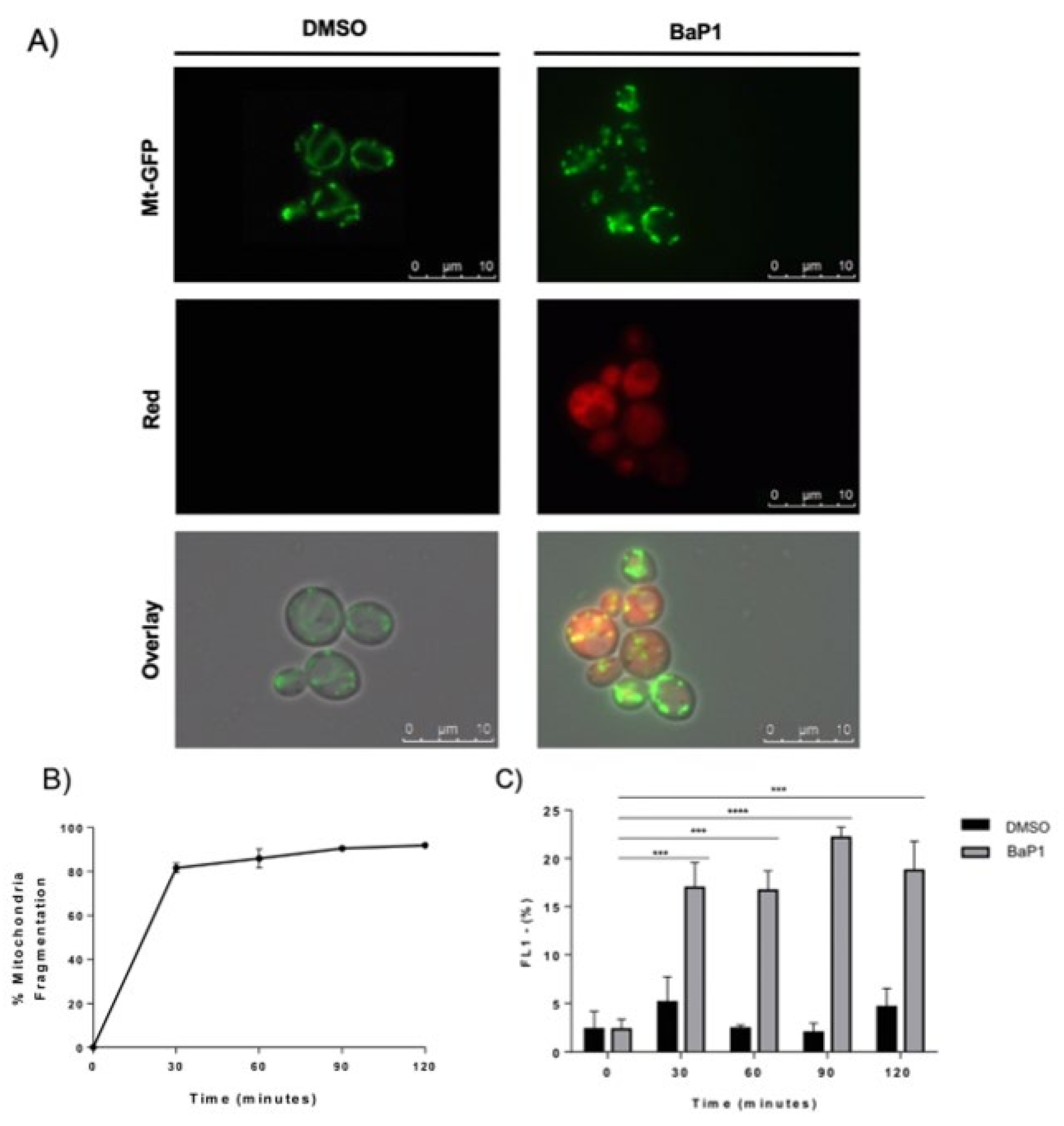 Jof 07 00971 g003 Jof 07 00971 g003