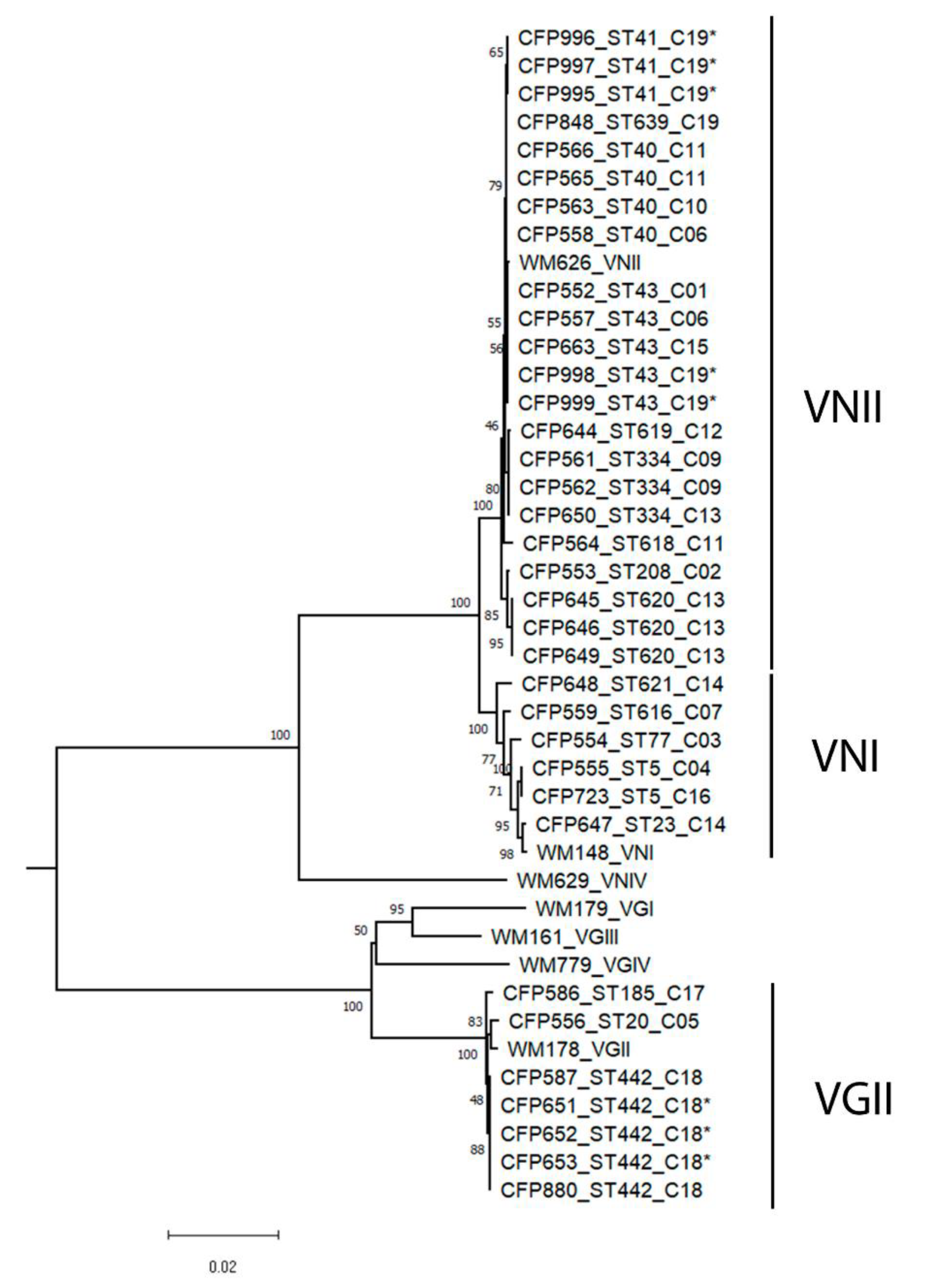 Jof 07 00980 g002 Jof 07 00980 g002