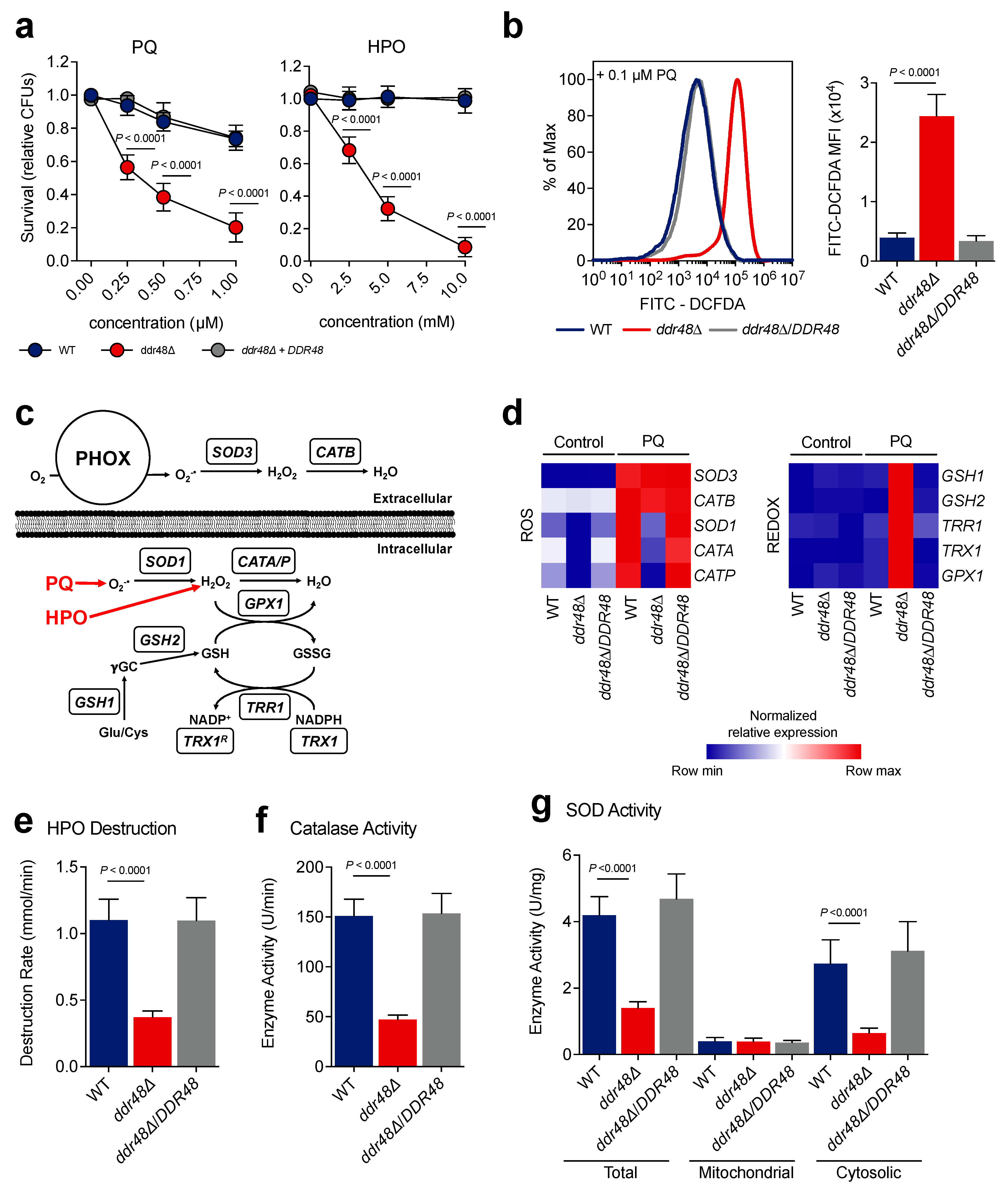 Jof 07 00981 g003 Jof 07 00981 g003