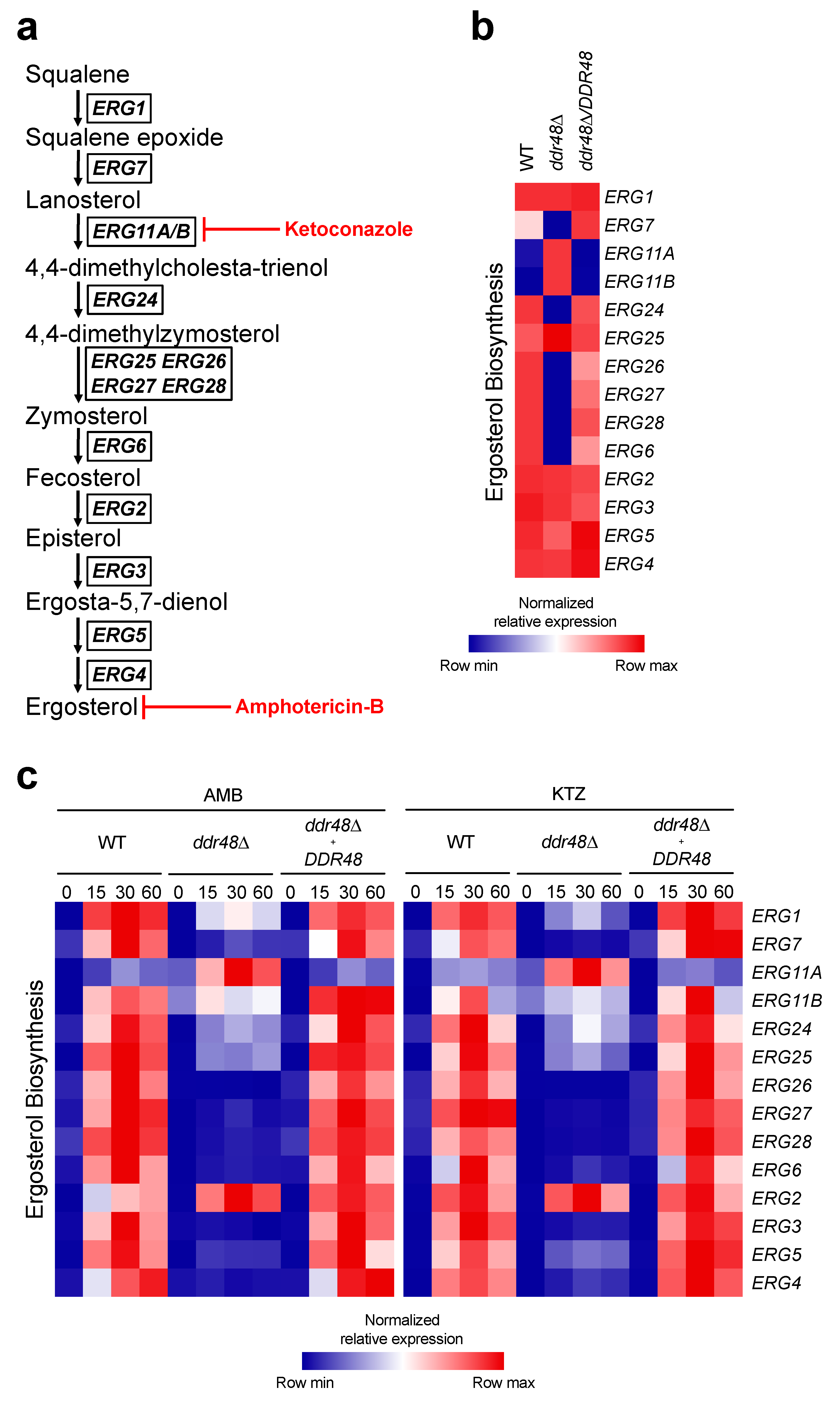 Jof 07 00981 g005 Jof 07 00981 g005