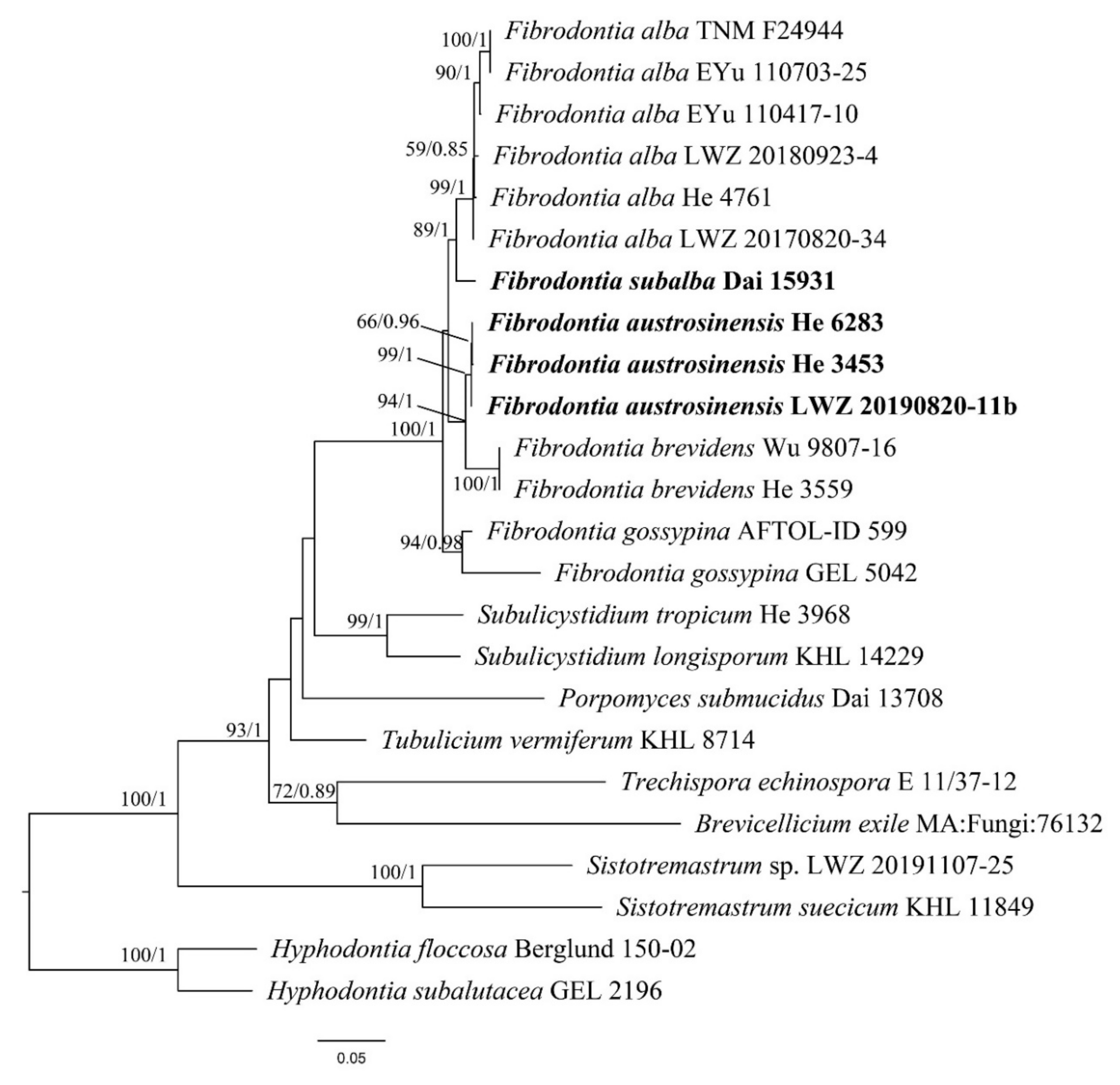 Jof 07 00982 g001 550