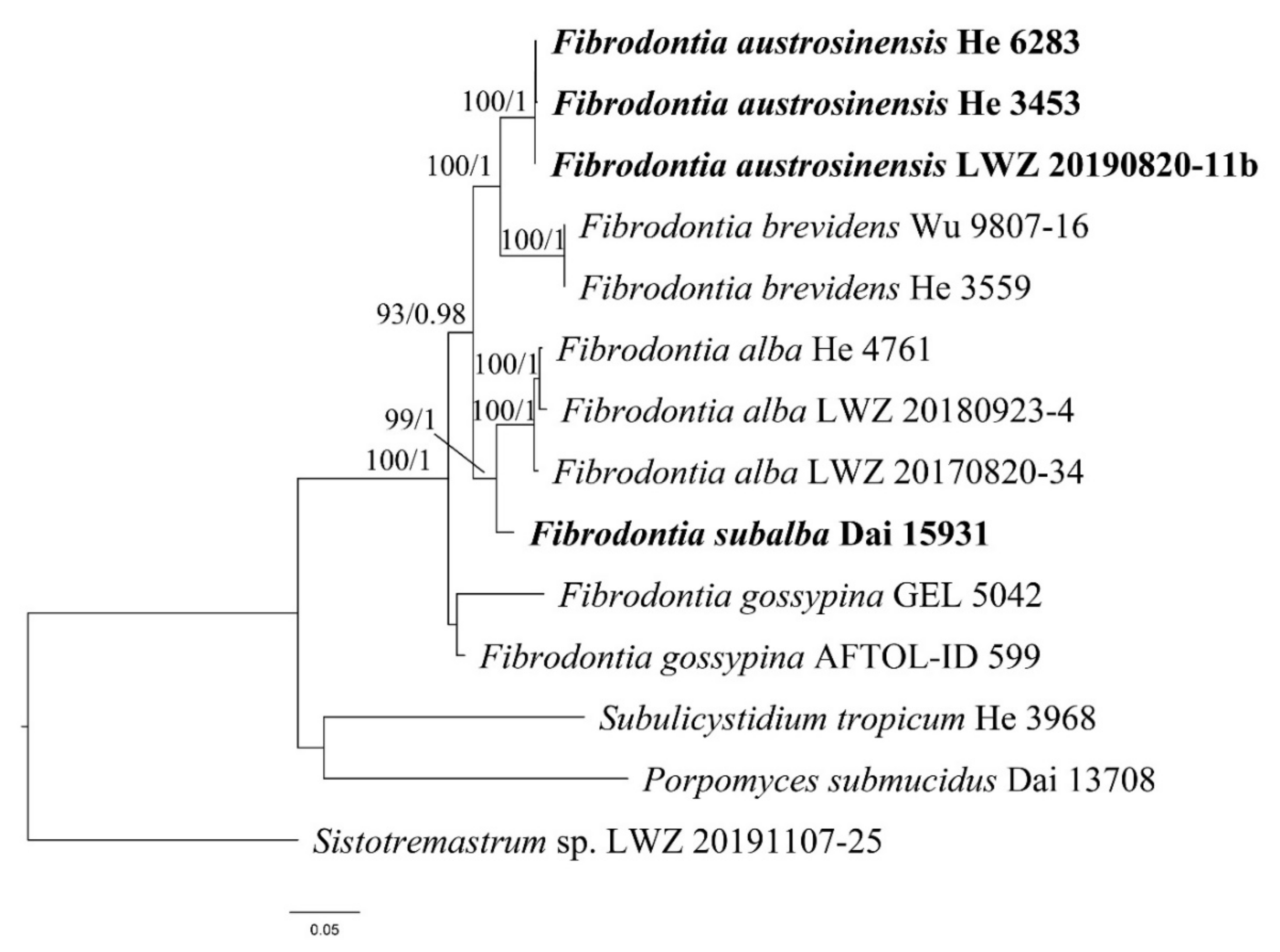 Jof 07 00982 g002 550