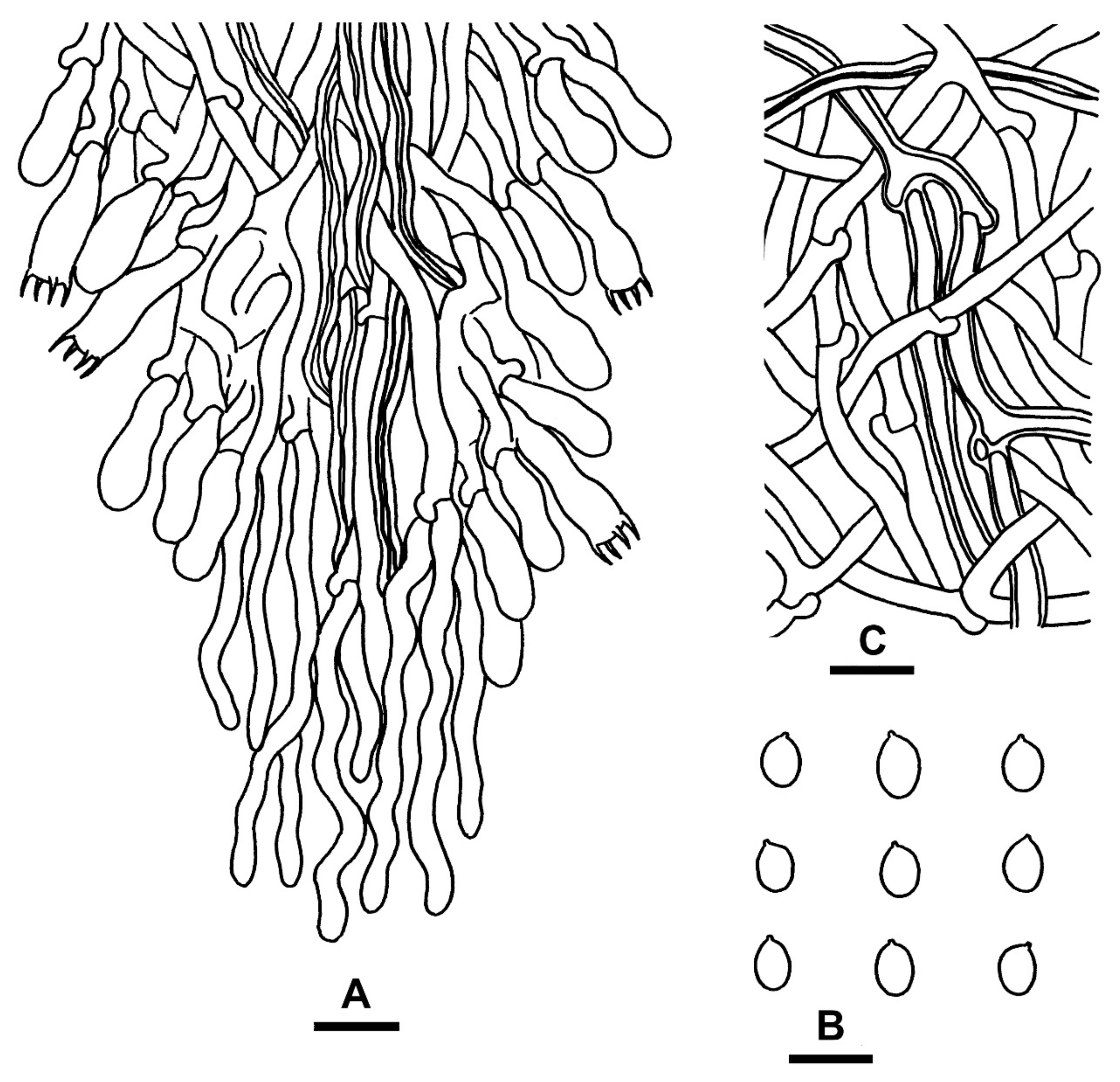 Jof 07 00982 g005 550
