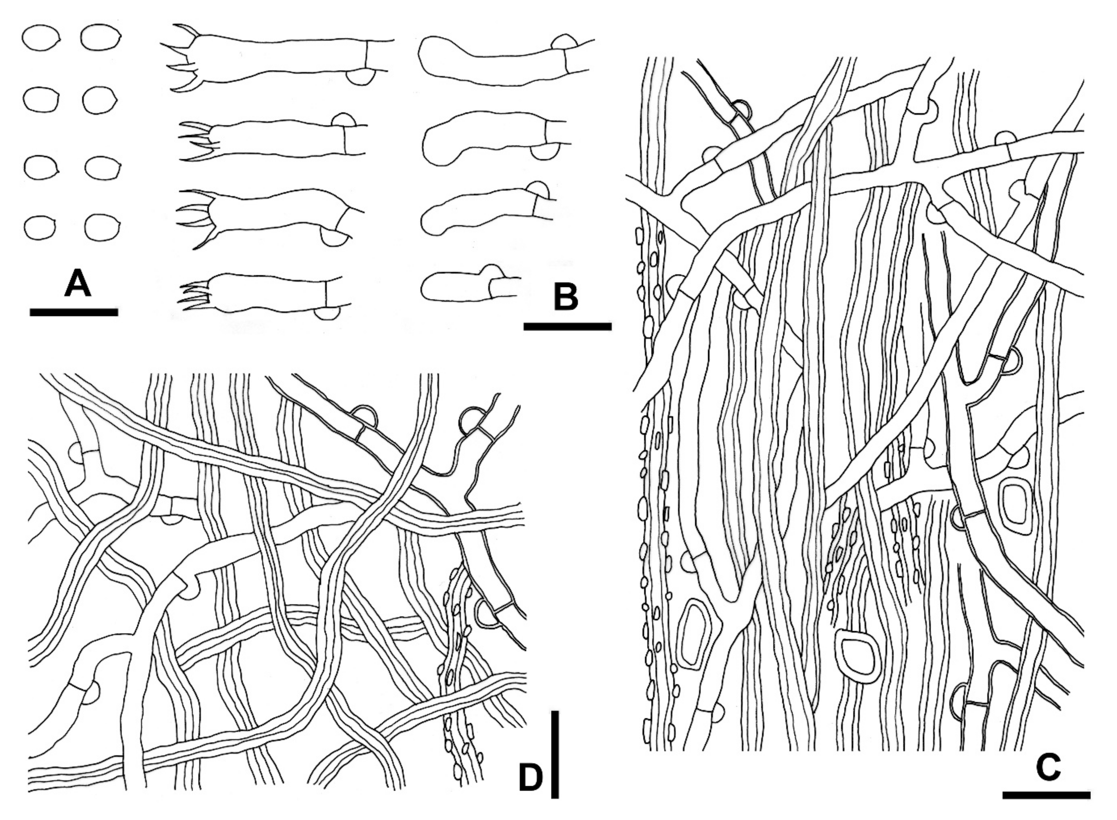 Jof 07 00982 g006 550