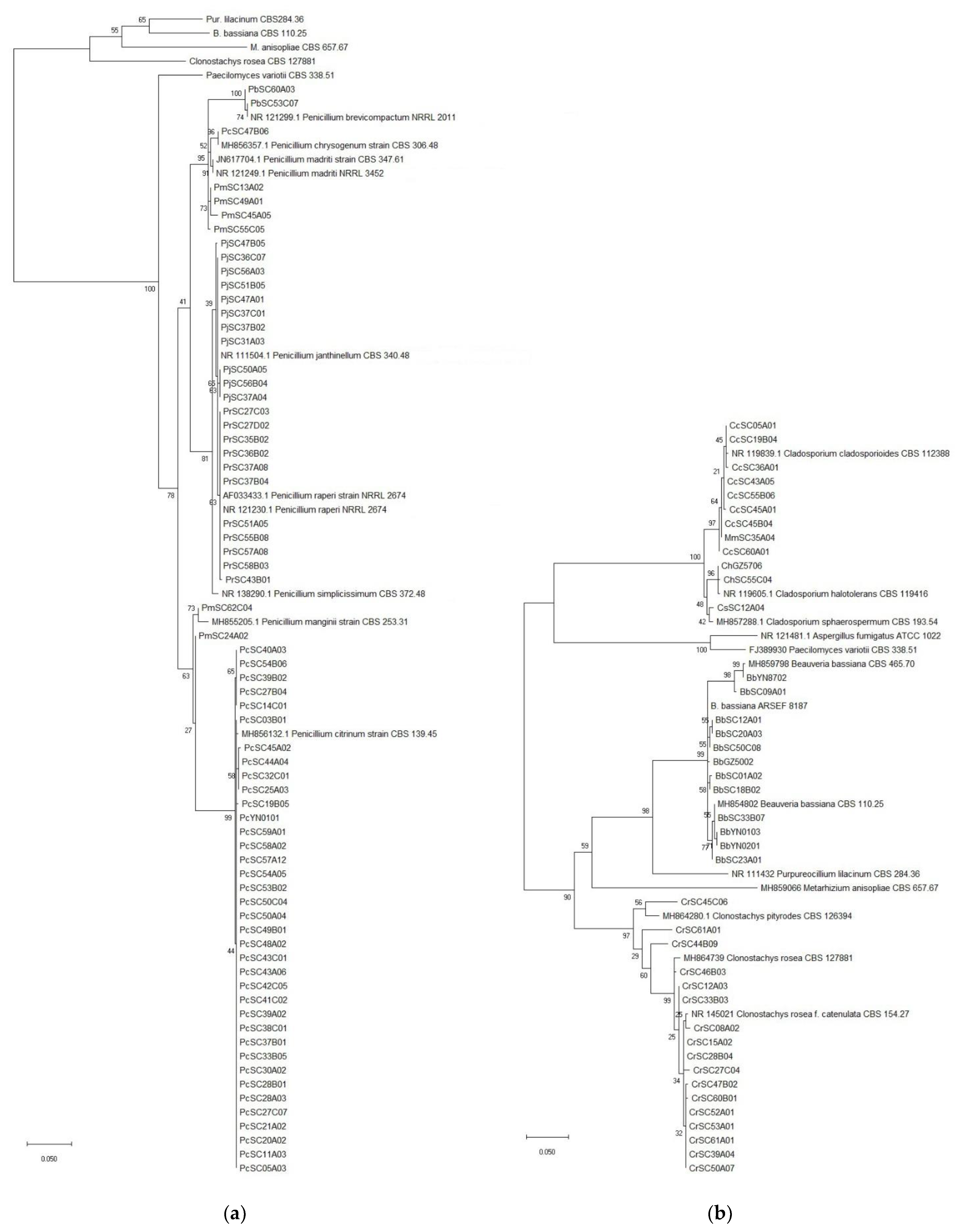 Jof 07 00984 g003 Jof 07 00984 g003