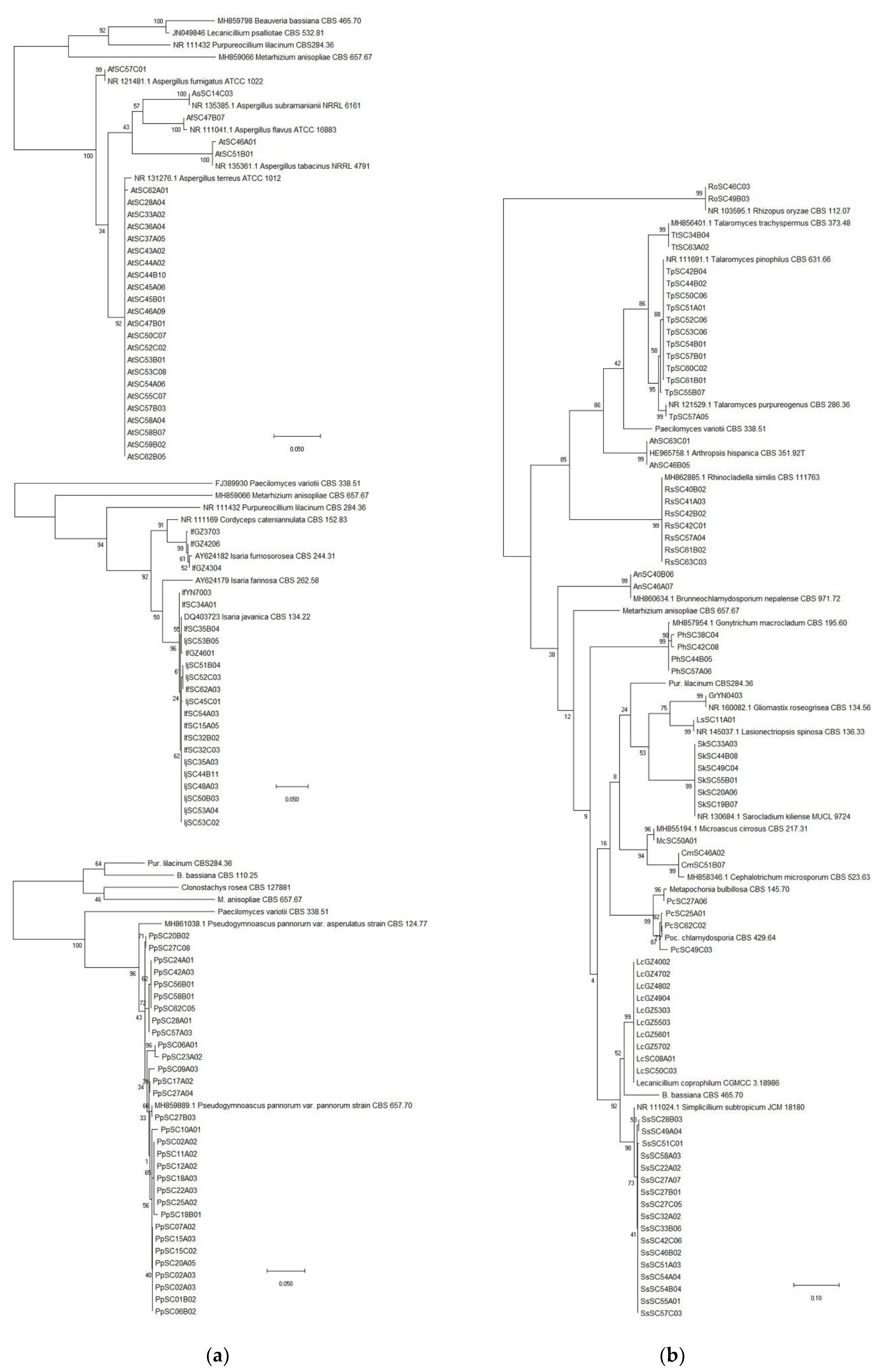 Jof 07 00984 g004 Jof 07 00984 g004