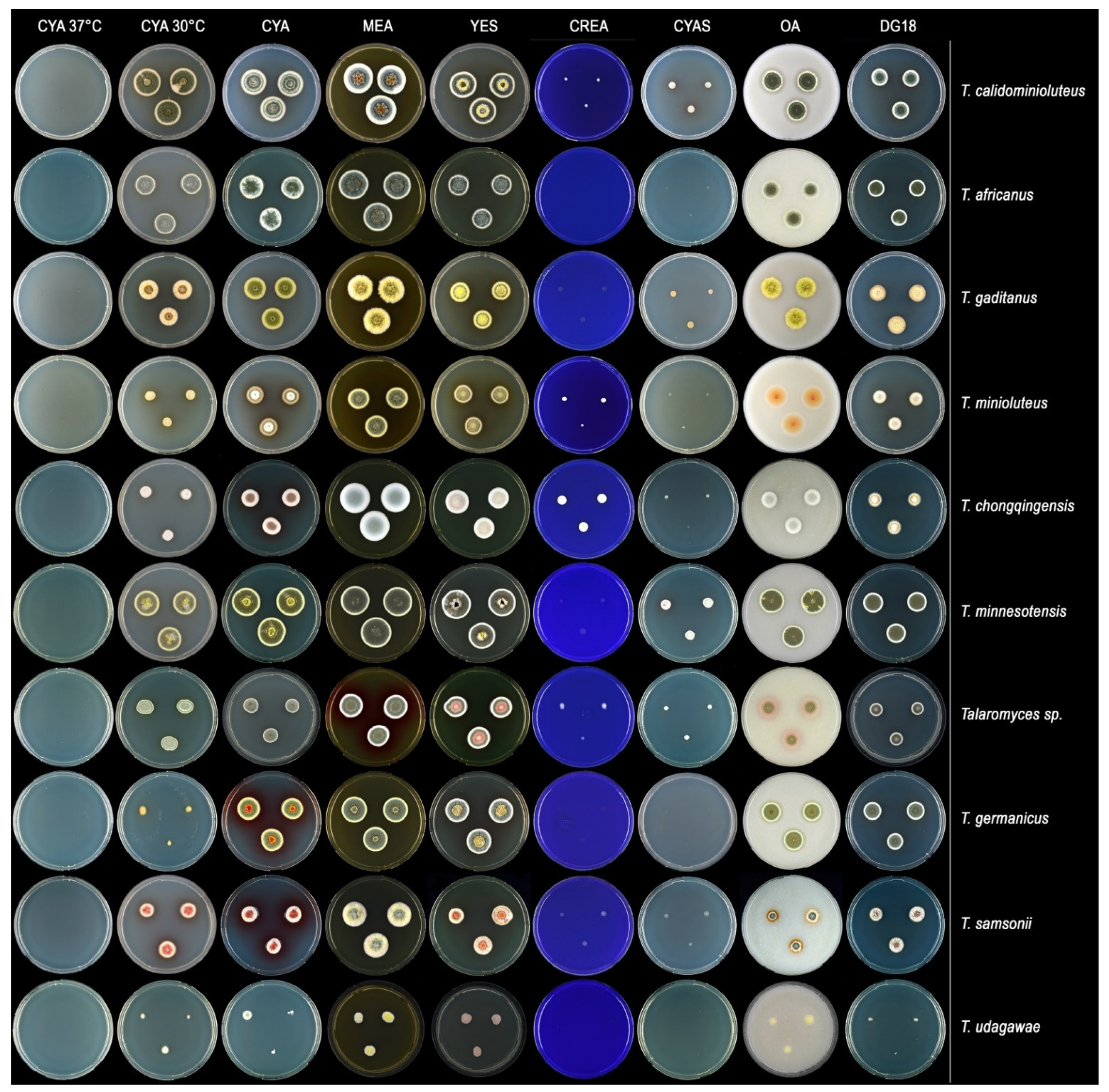 Jof 07 00993 g004 Jof 07 00993 g004