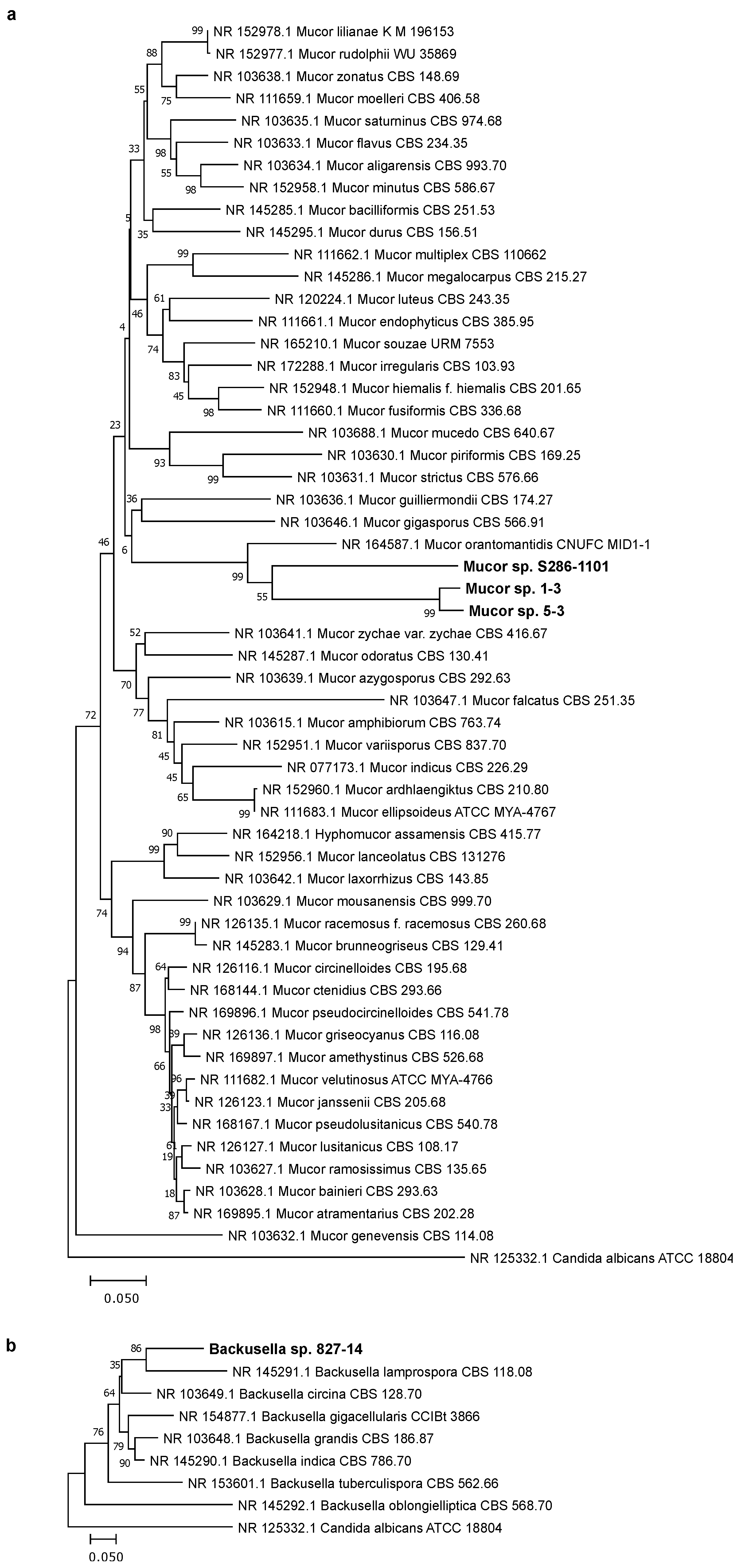 Jof 07 00995 g002 550