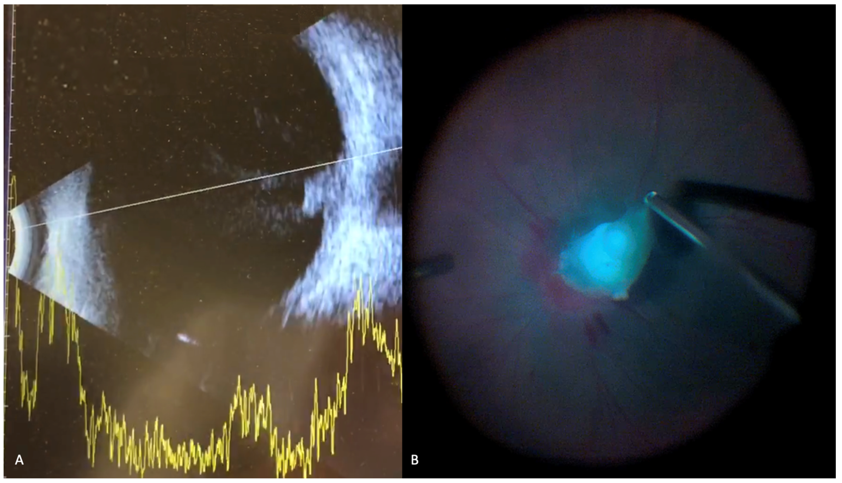 Jof 07 00996 g005 Jof 07 00996 g005