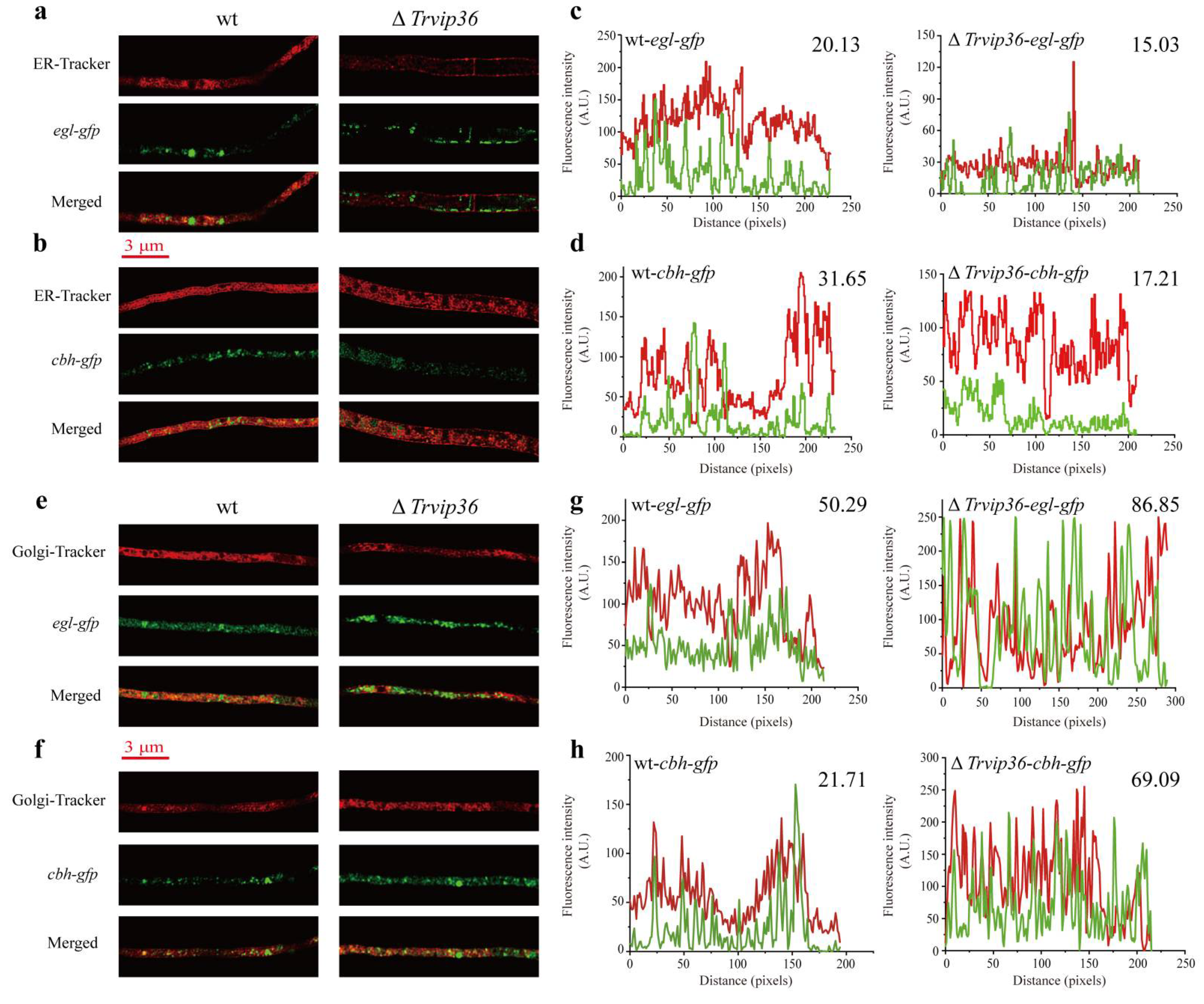 Jof 07 00997 g004 Jof 07 00997 g004